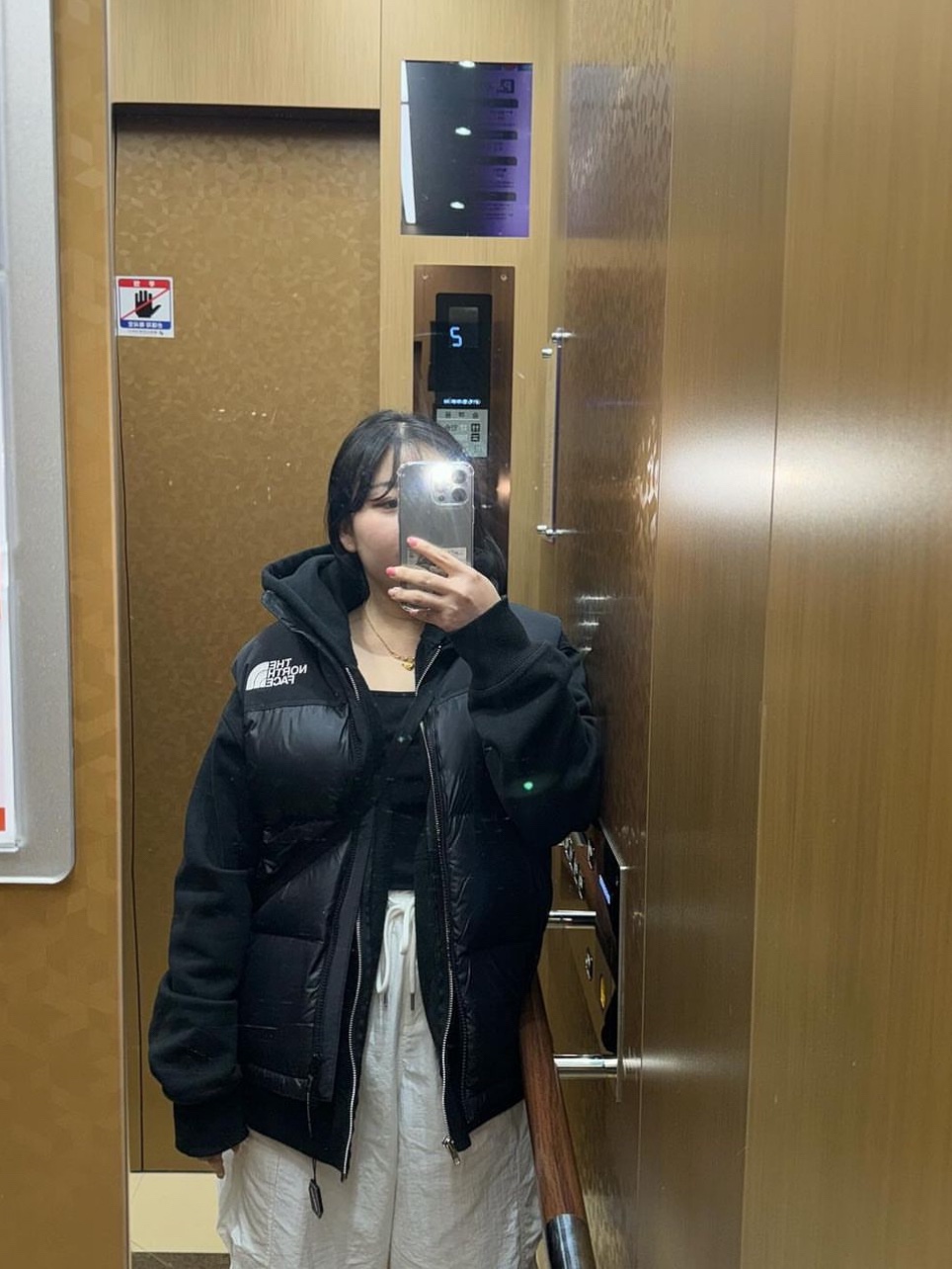 The North Face Nuptse On Ball Vest Black, Stussy Basic Stussy Zip Hoodie Black 2023 착용 스타일 - 3