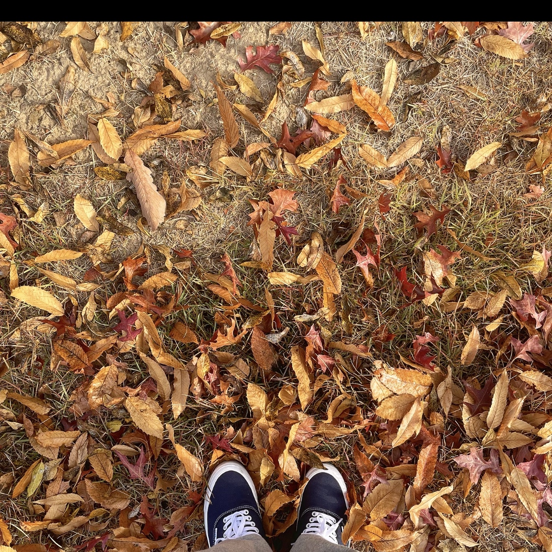 Vans Vault OG Authentic LX Navy 착용 스타일