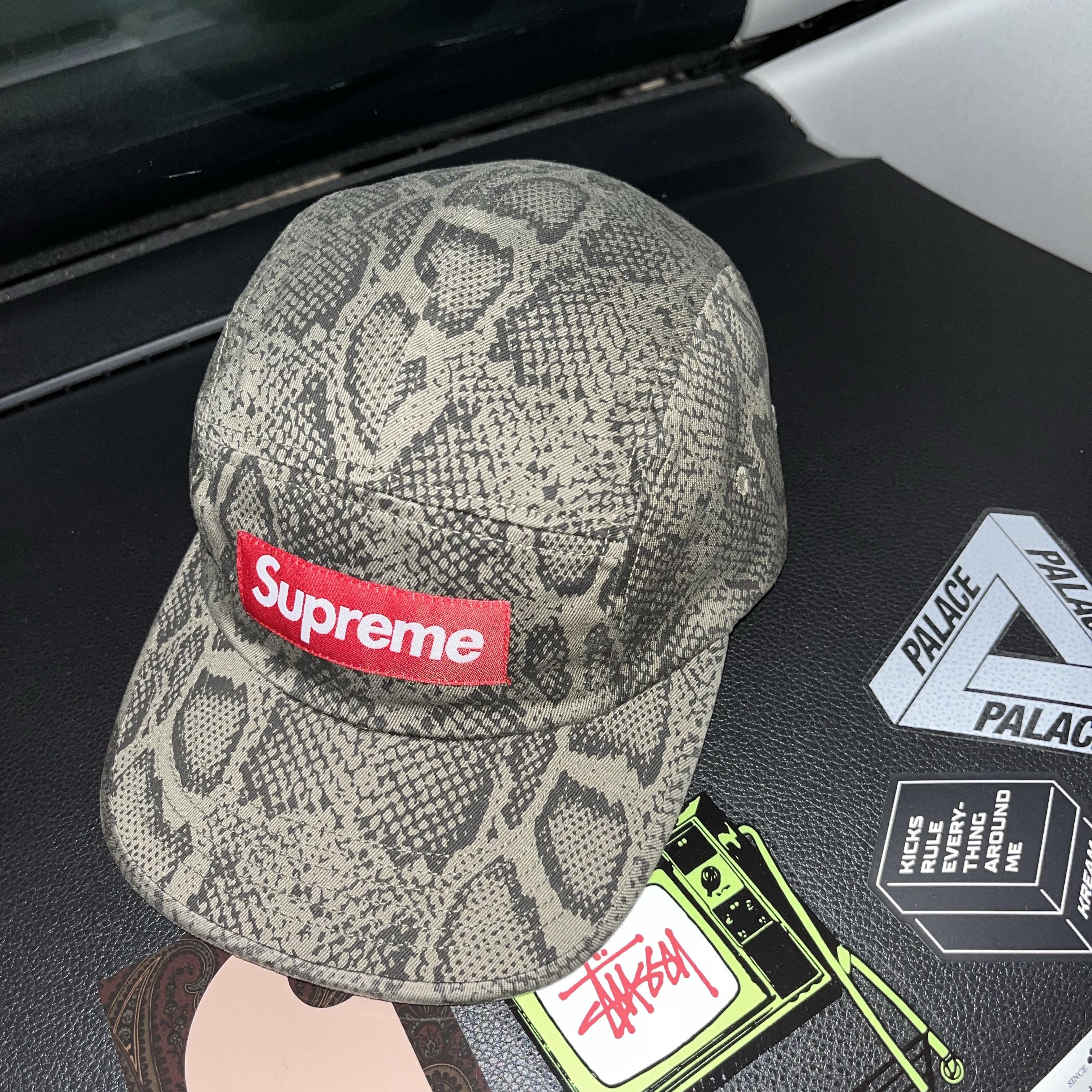 Supreme Washed Chino Twill Camp Cap Snake - 24SS 착용 스타일