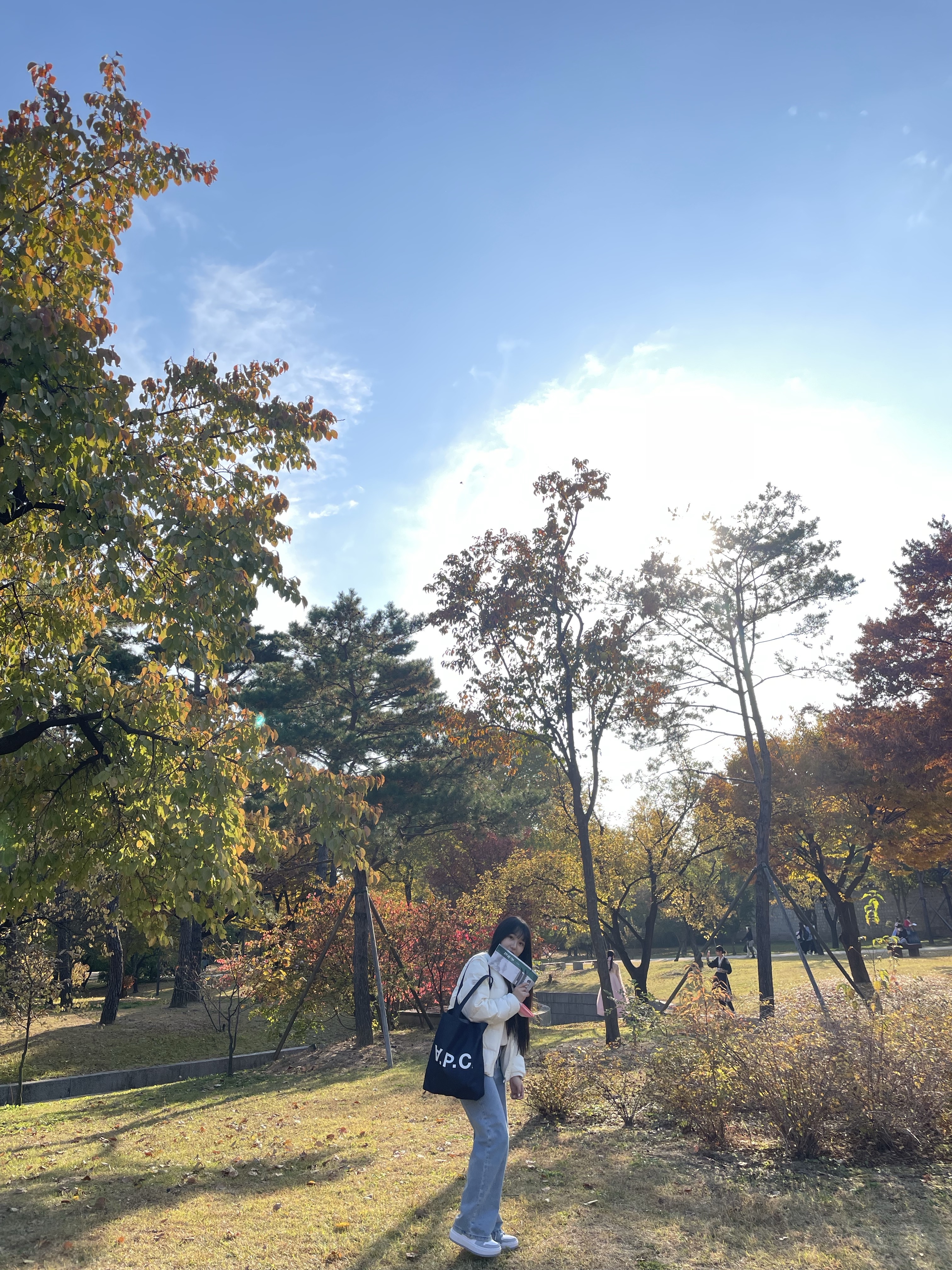 A.P.C. Laure Tote Bag Blue, (W) Jordan 1 Elevate Low White and Wolf Grey 착용 스타일 - 2