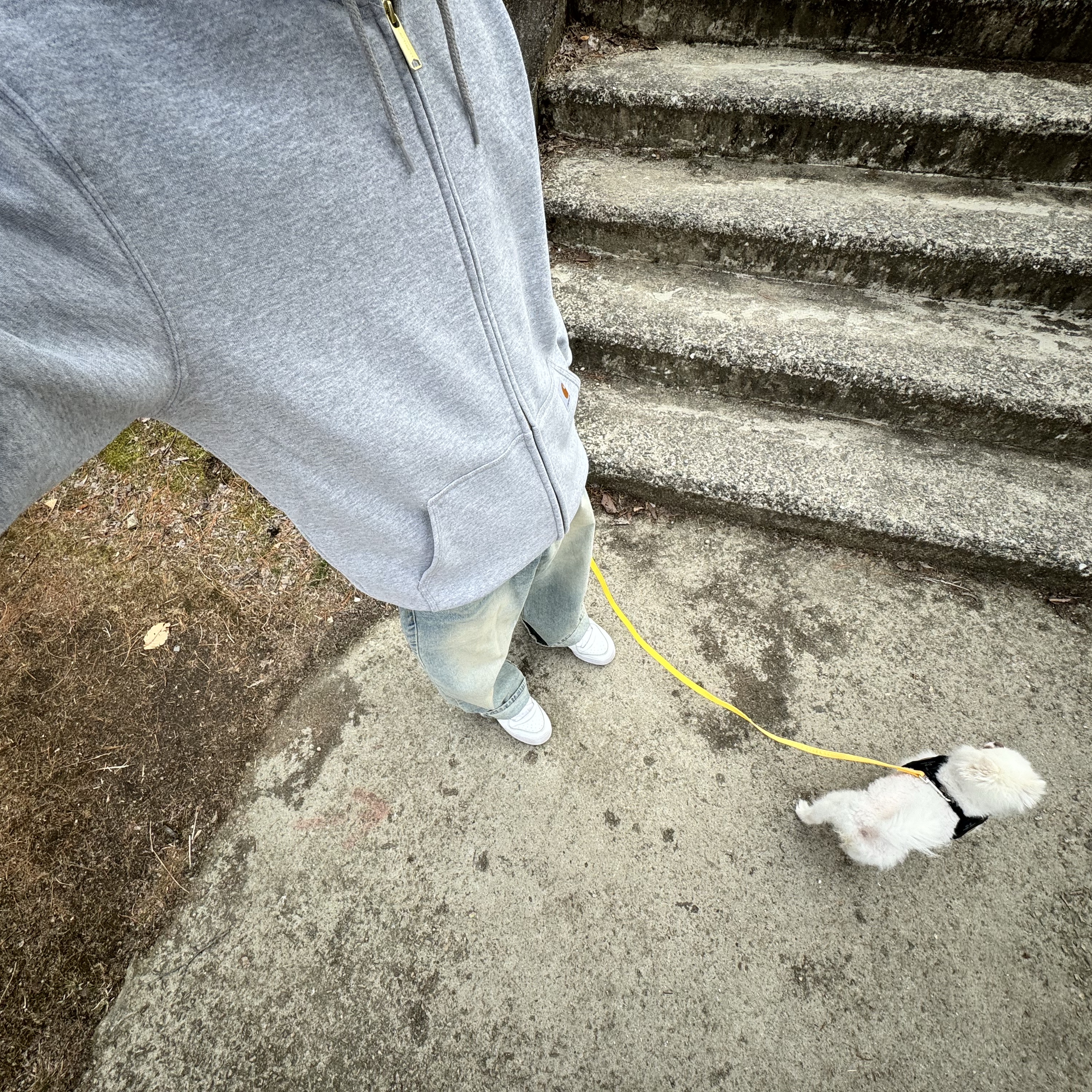 Carhartt Loose Fit Midweight Full Zip Sweatshirt Heather Grey, (W) Adidas Forum Bold Cloud White 착용 스타일
