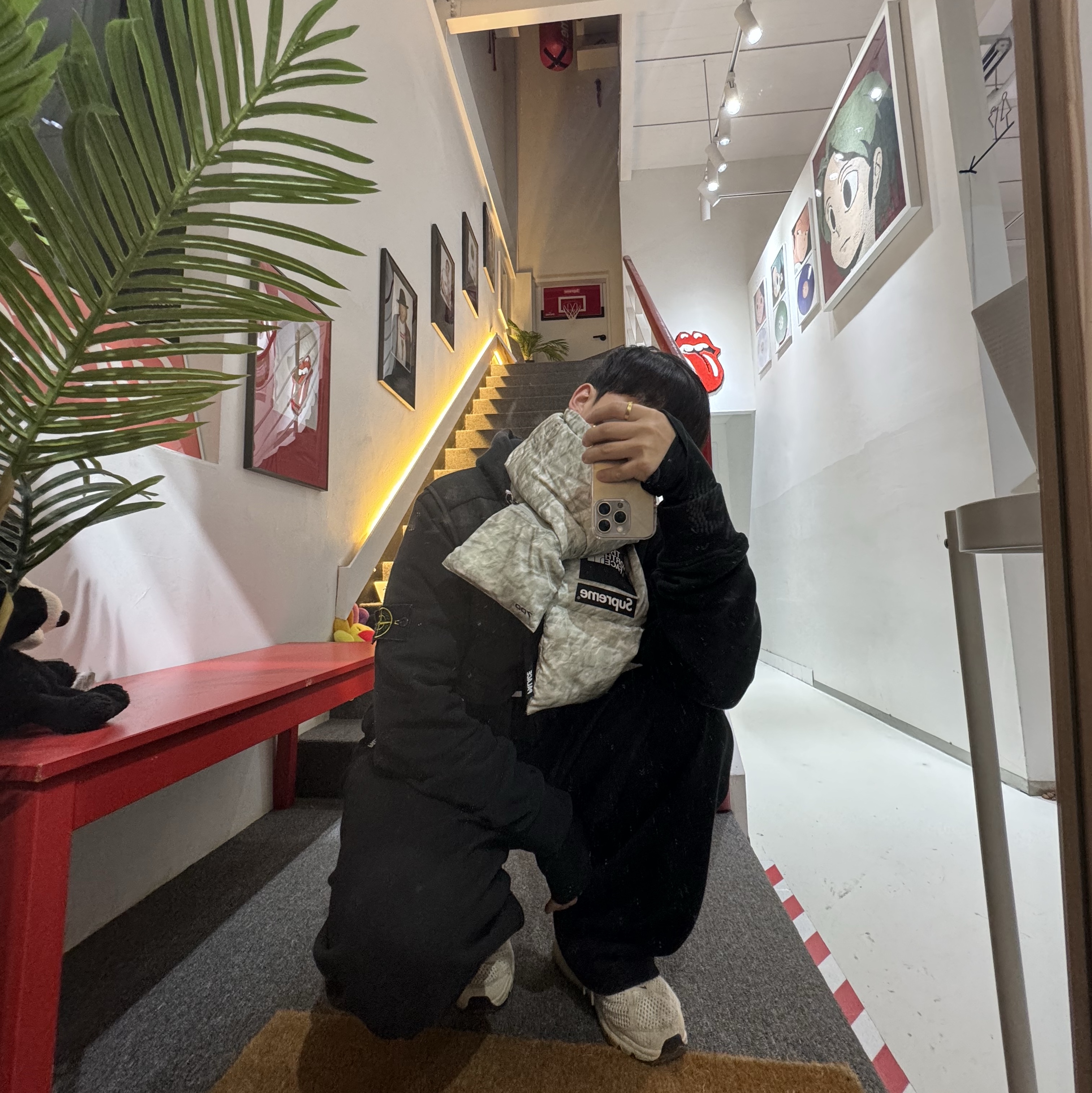 Supreme x The North Face Paper Print 700-Fill Down Scarf, Apple iPhone 15 Pro 256GB Natural Titanium (Korean Ver.) 착용 스타일