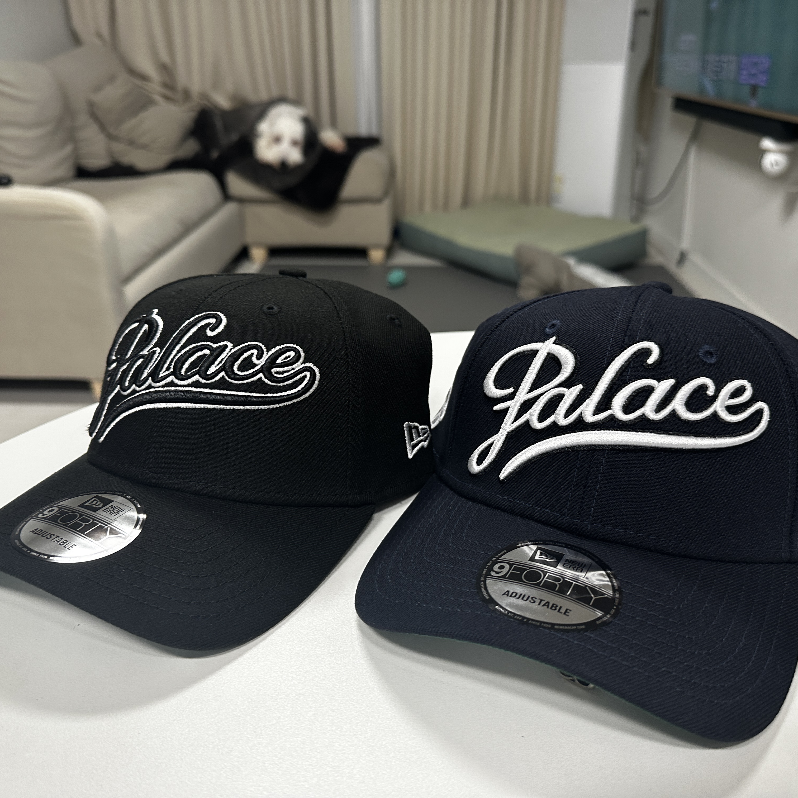 Palace New Era 9Forty Black - 24SS, Palace New Era 9Forty Navy - 24SS 착용 스타일