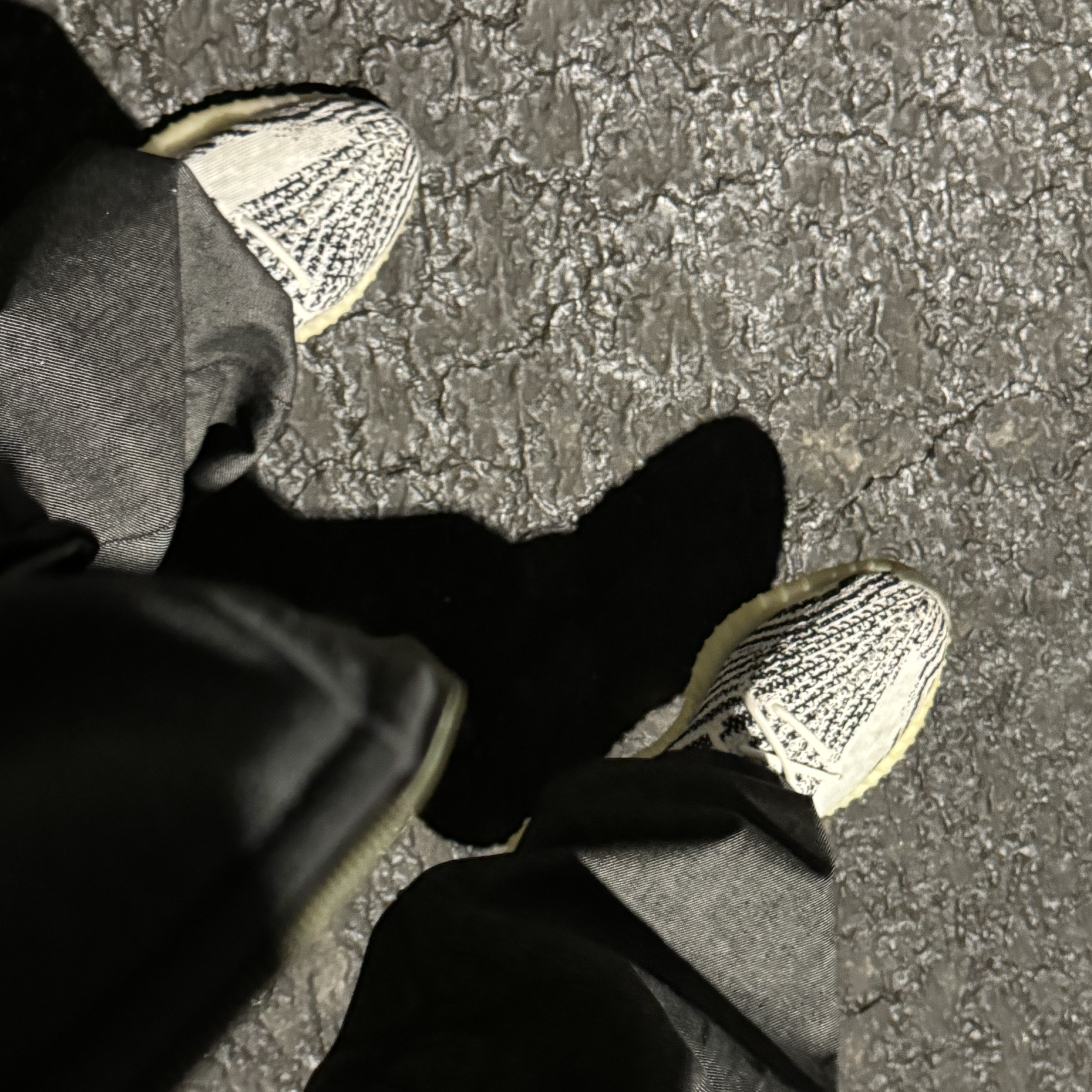 Adidas Yeezy Boost 350 V2 Zebra 2022/2023 착용 스타일