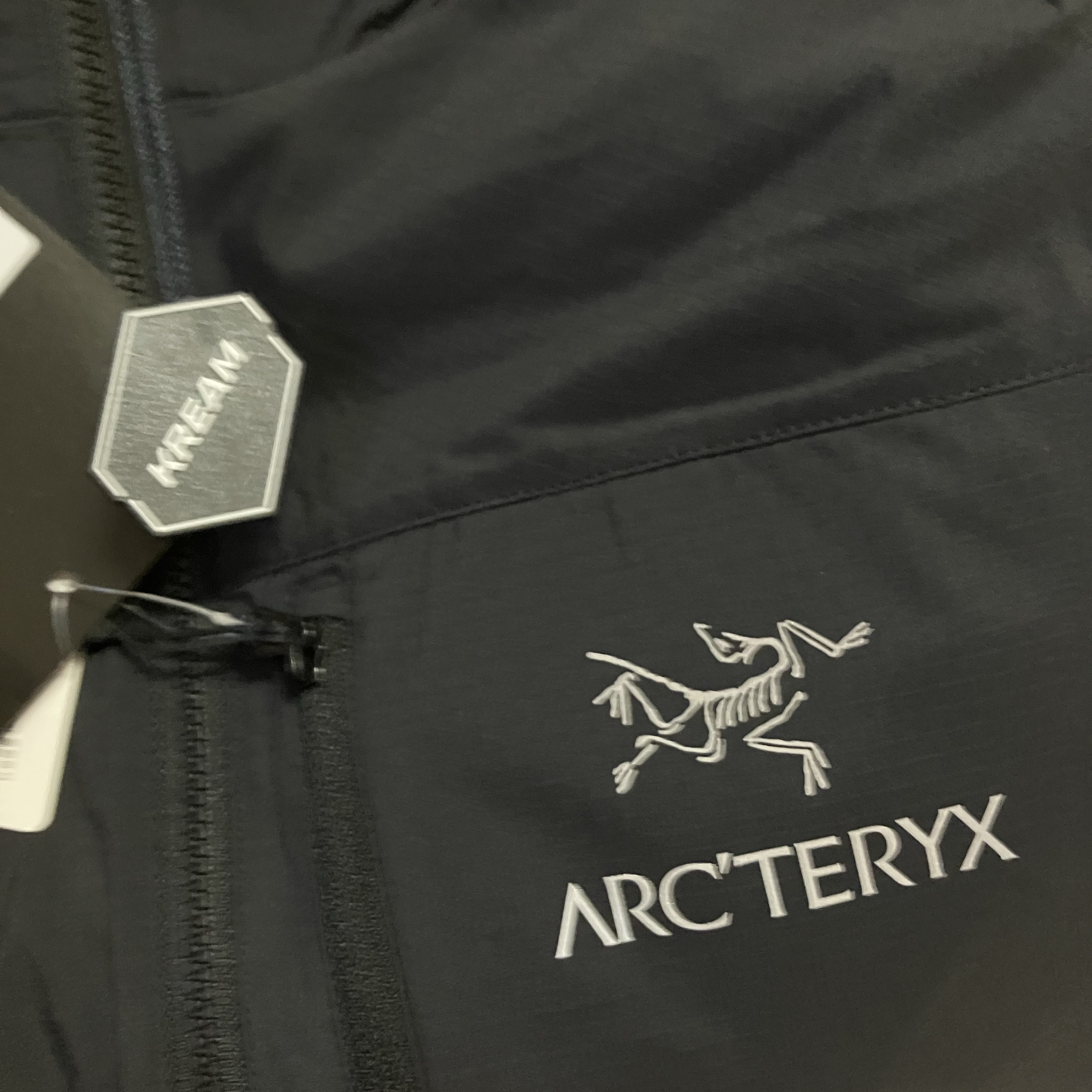 Arc'teryx Squamish Hoody Black 착용 스타일 - 1