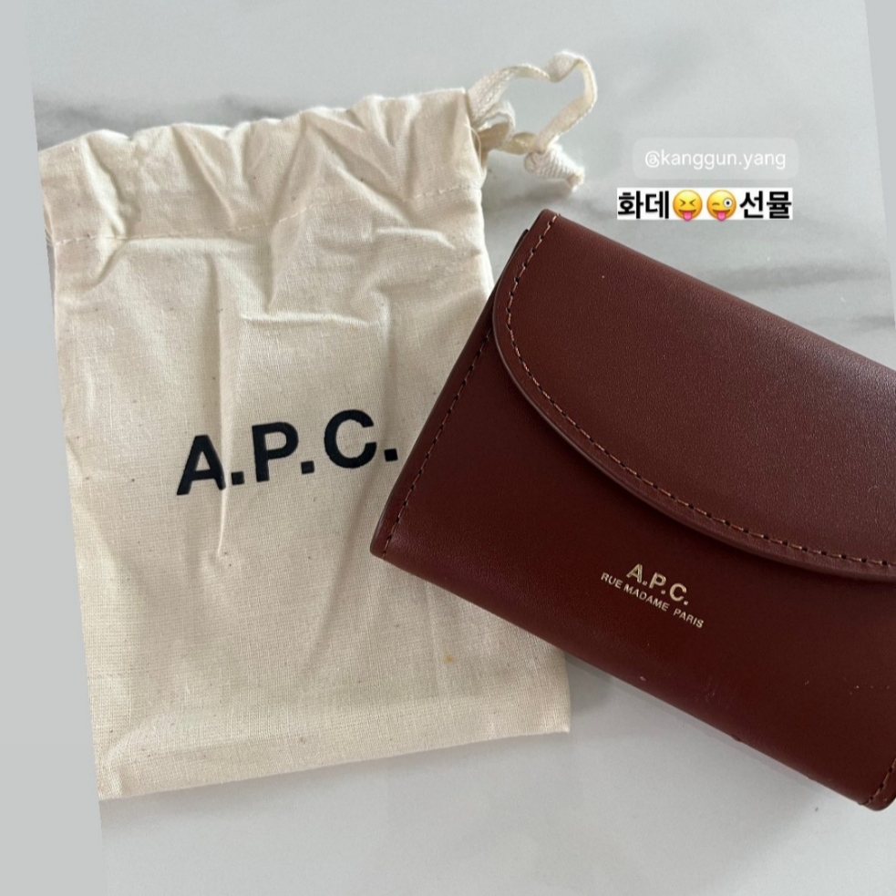 A.P.C. Geneva Business Card Holder Brown 착용 스타일