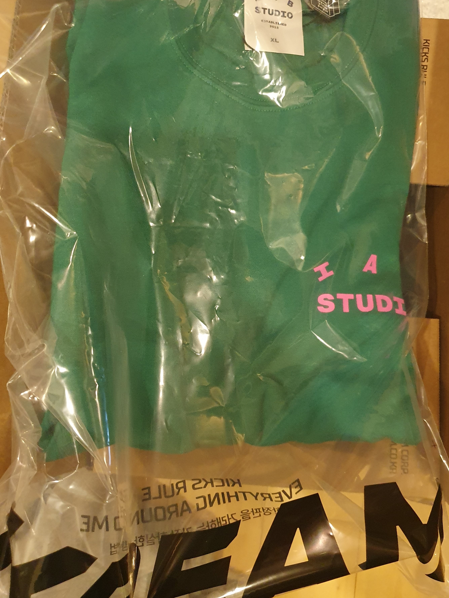 IAB Studio T-Shirt Green Pink 착용 스타일