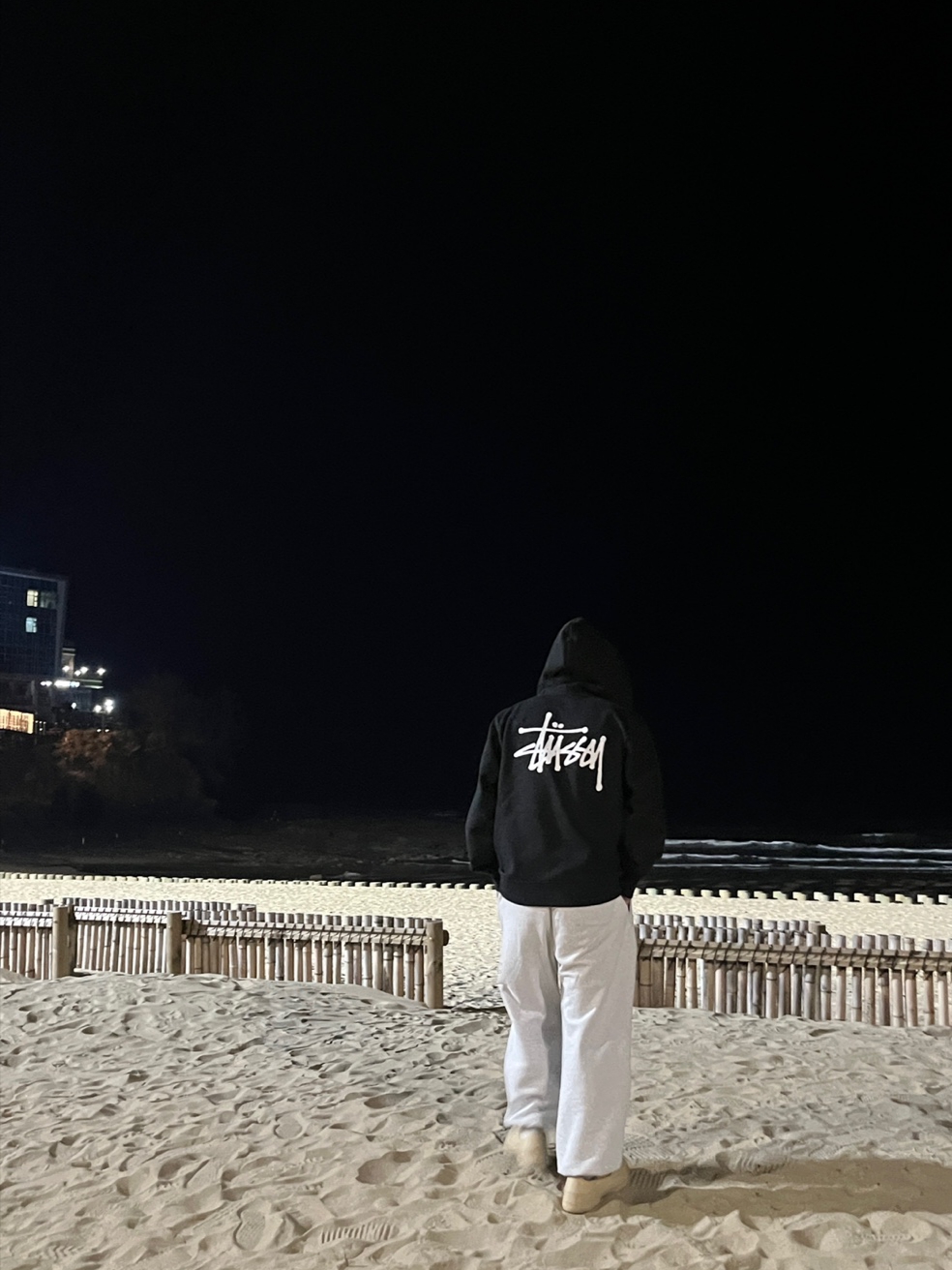 Stussy Basic Stussy Zip Hoodie Black 2023 착용 스타일 - 1