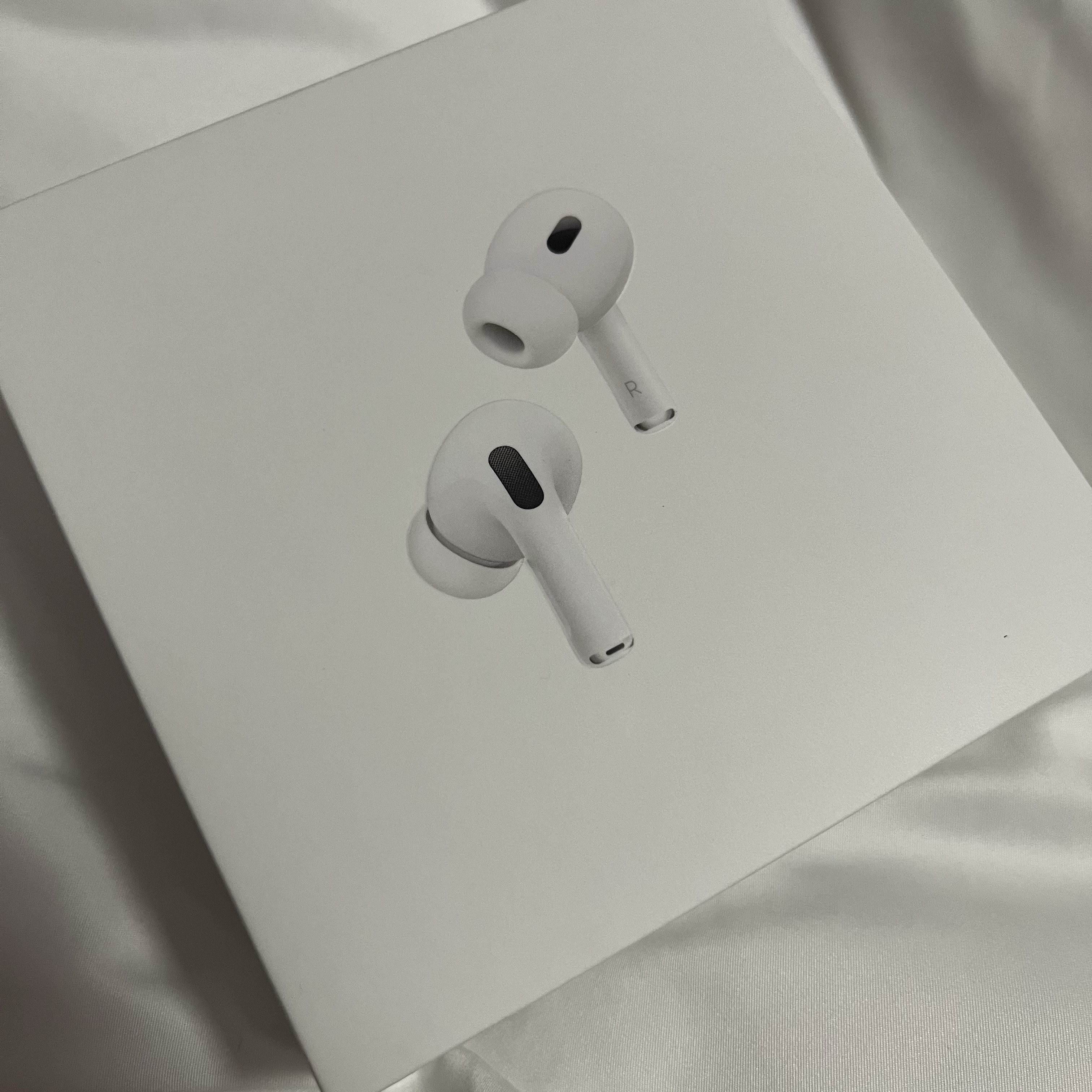 Apple AirPods Pro 2nd Gen (Korean Ver.) 착용 스타일