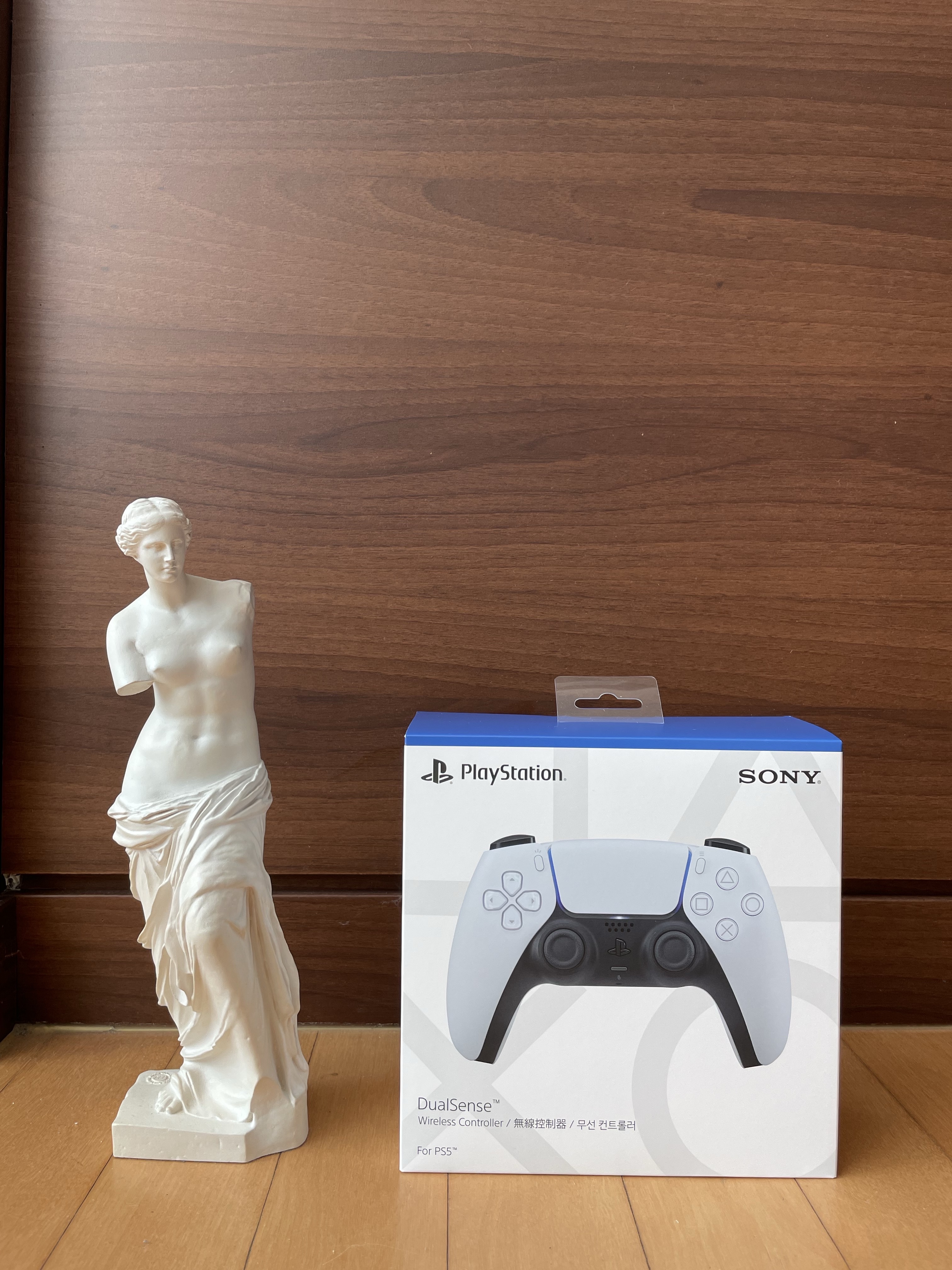 Playstation 5 DualSense Wireless Controller White (Korean Ver.) 착용 스타일