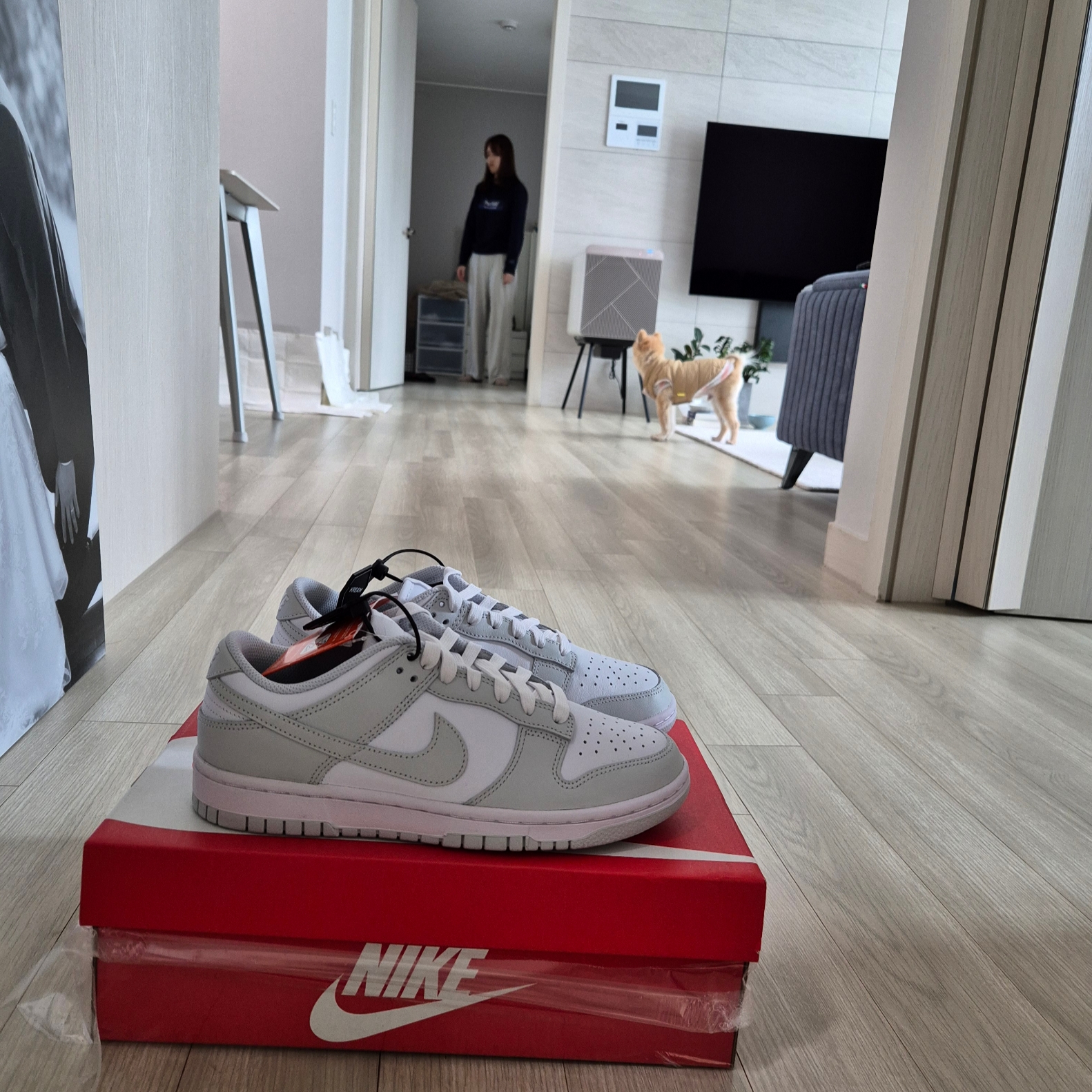 (W) Nike Dunk Low Photon Dust 착용 스타일