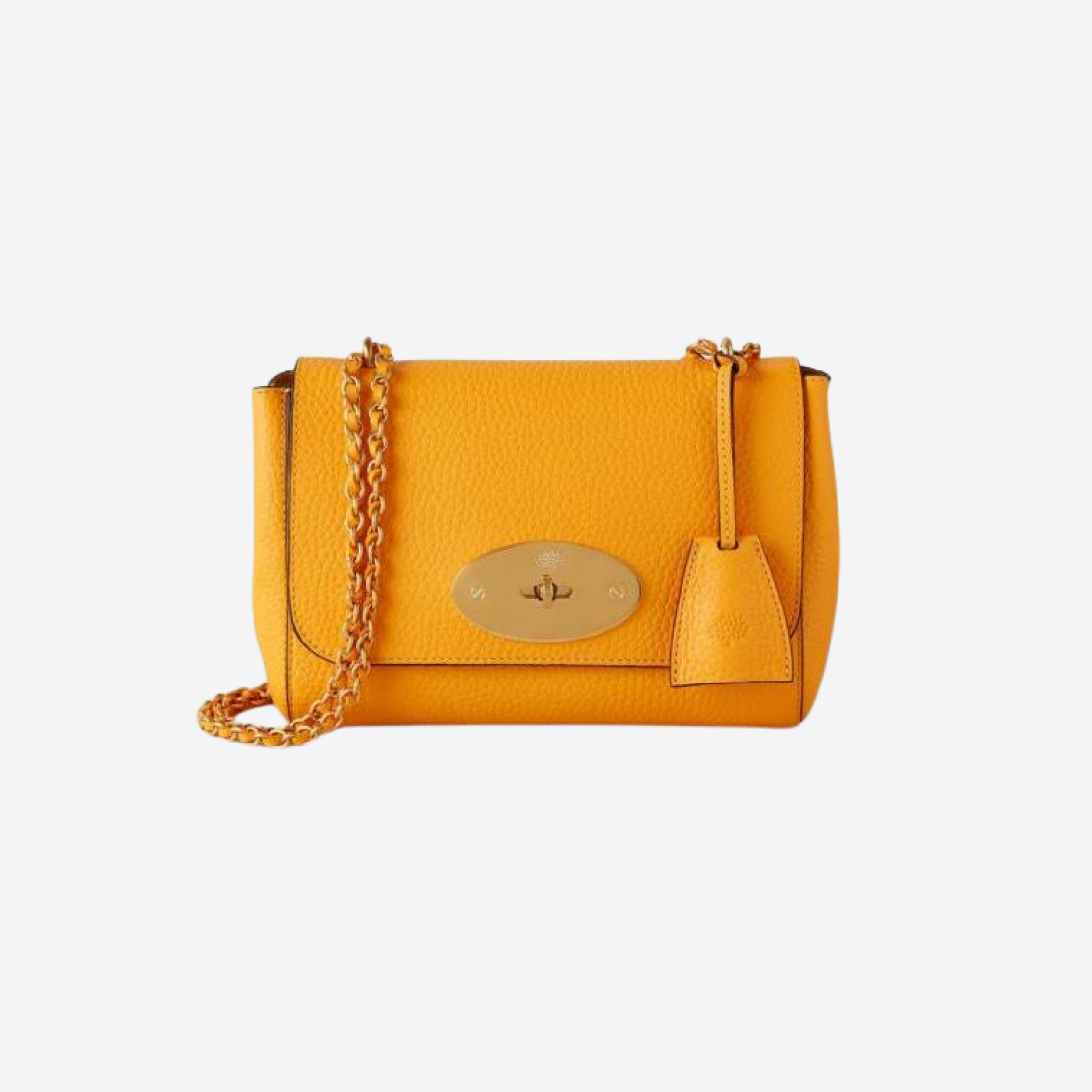 Mulberry Heavy Grain Lily Double Yellow 상세 이미지 1