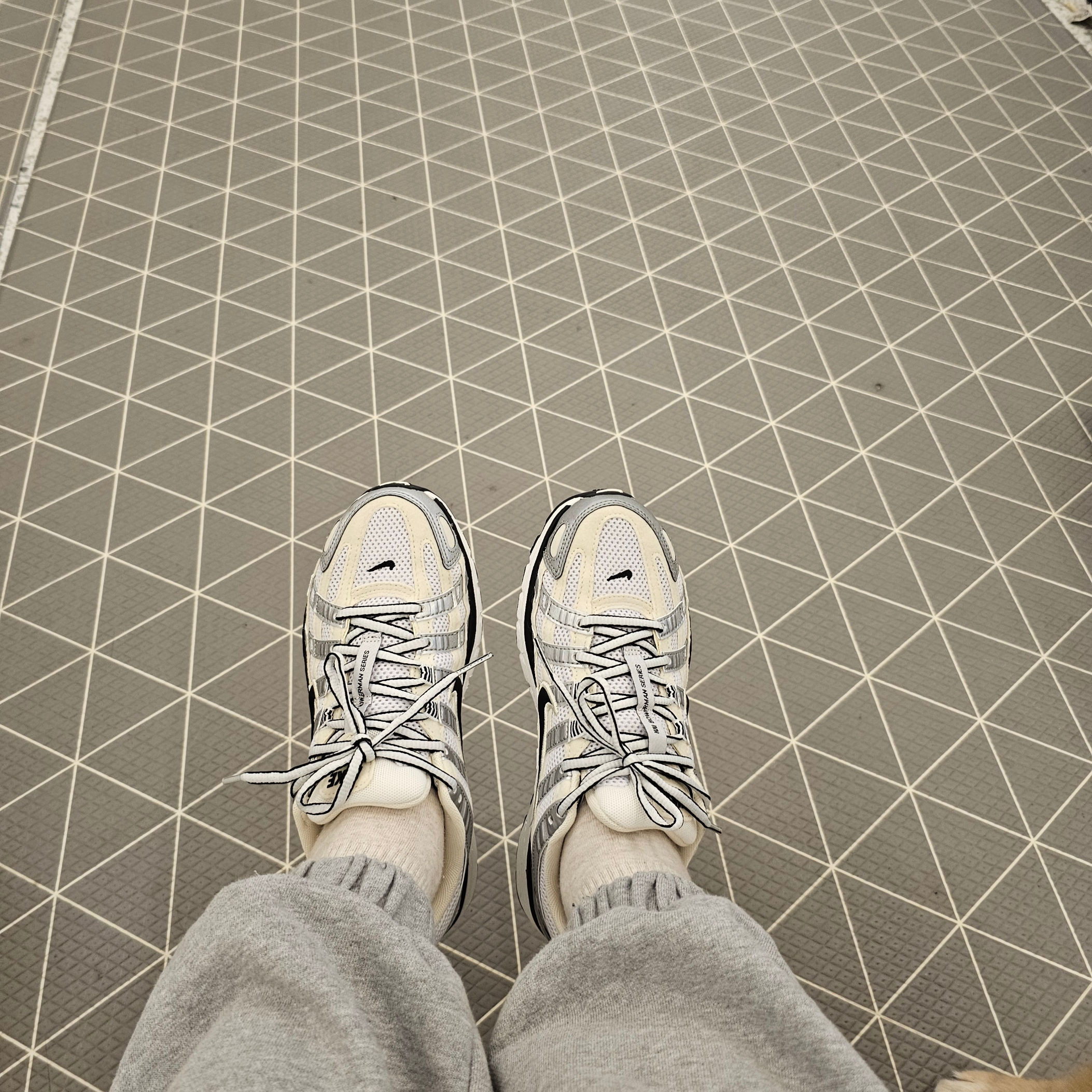 (W) Nike P-6000 Coconut Milk Metallic Silver 착용 스타일