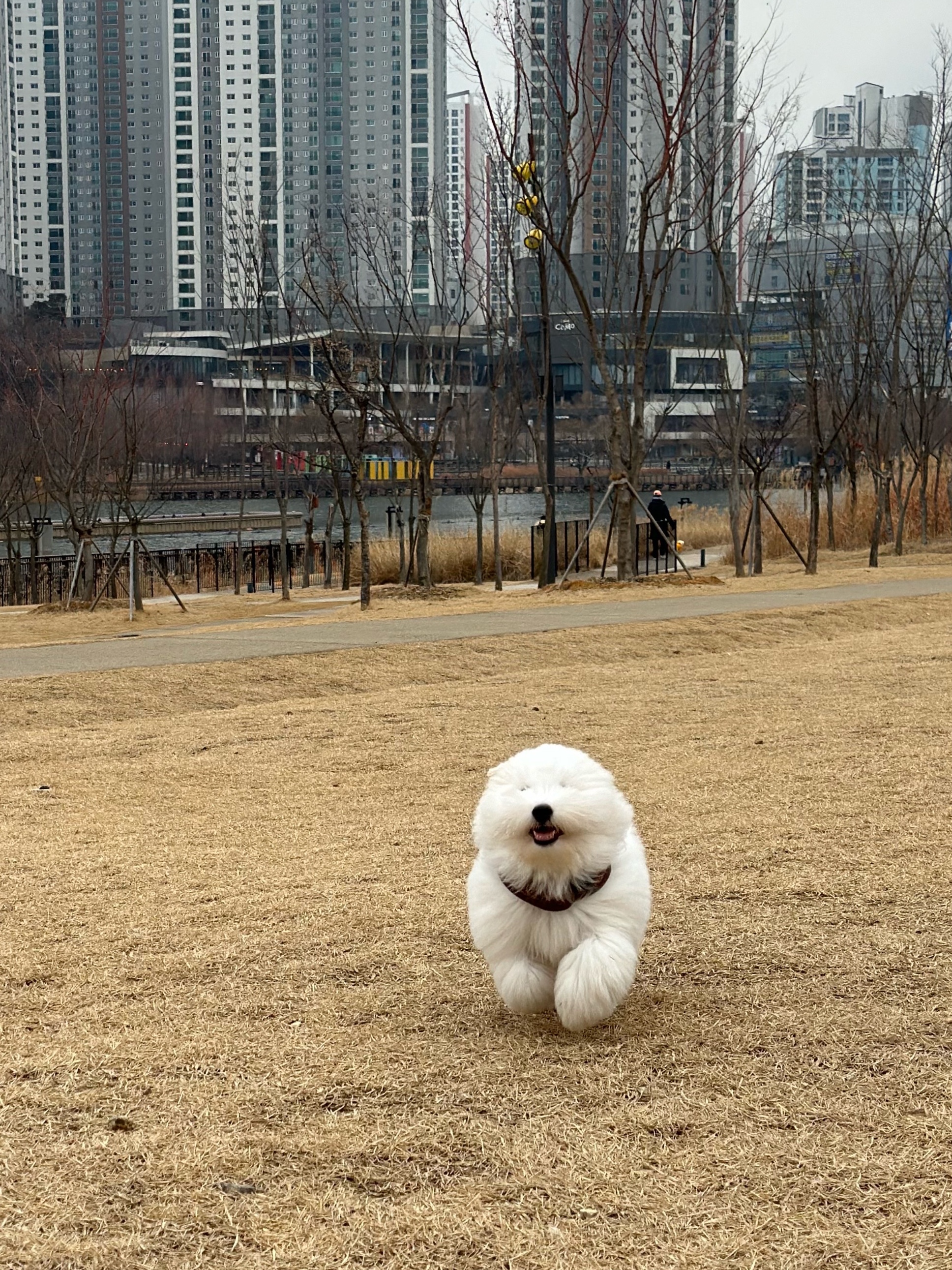 🫶🏻님의 스타일 - 1