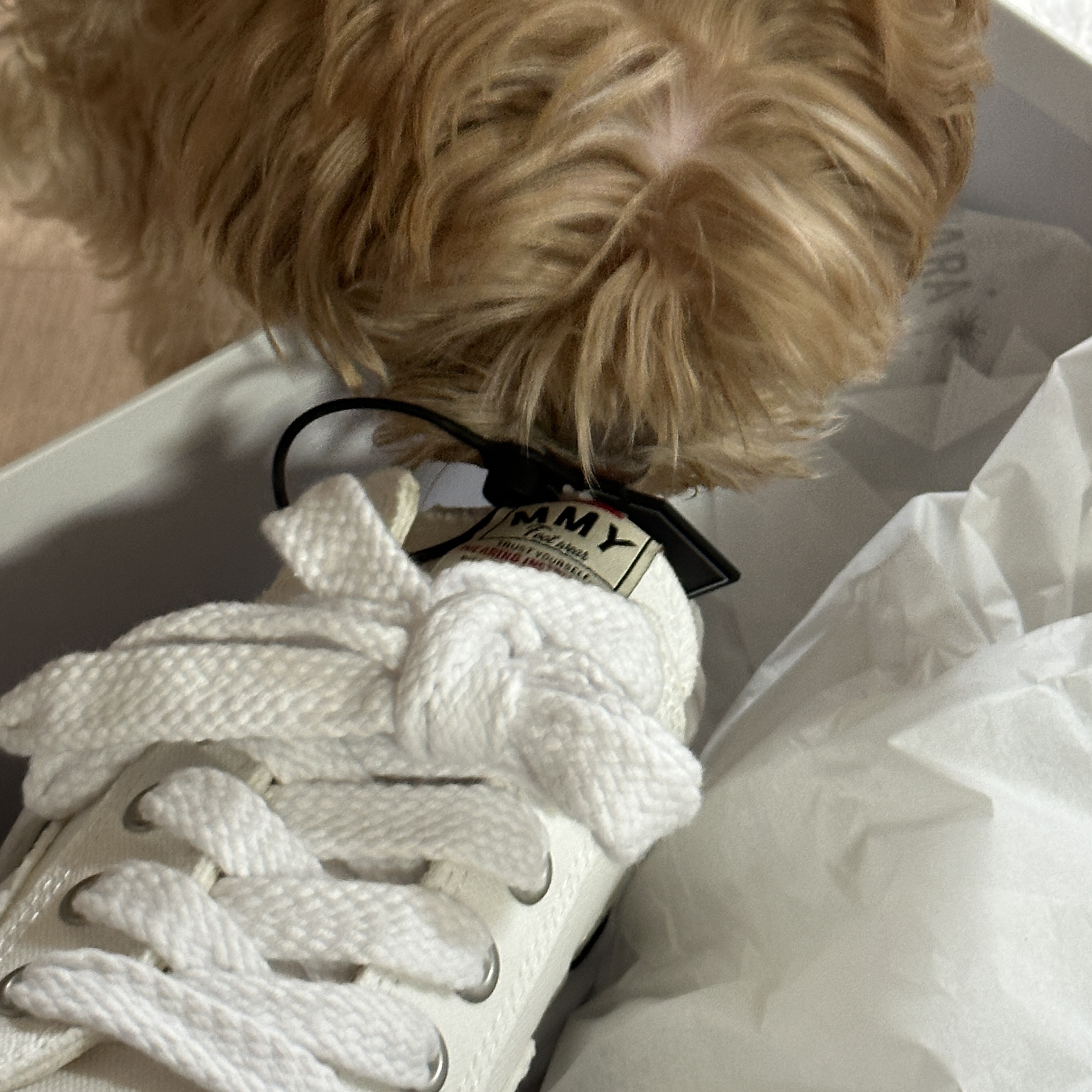 Maison Mihara Yasuhiro Peterson OG Sole Canvas Low Sneakers White 착용 스타일