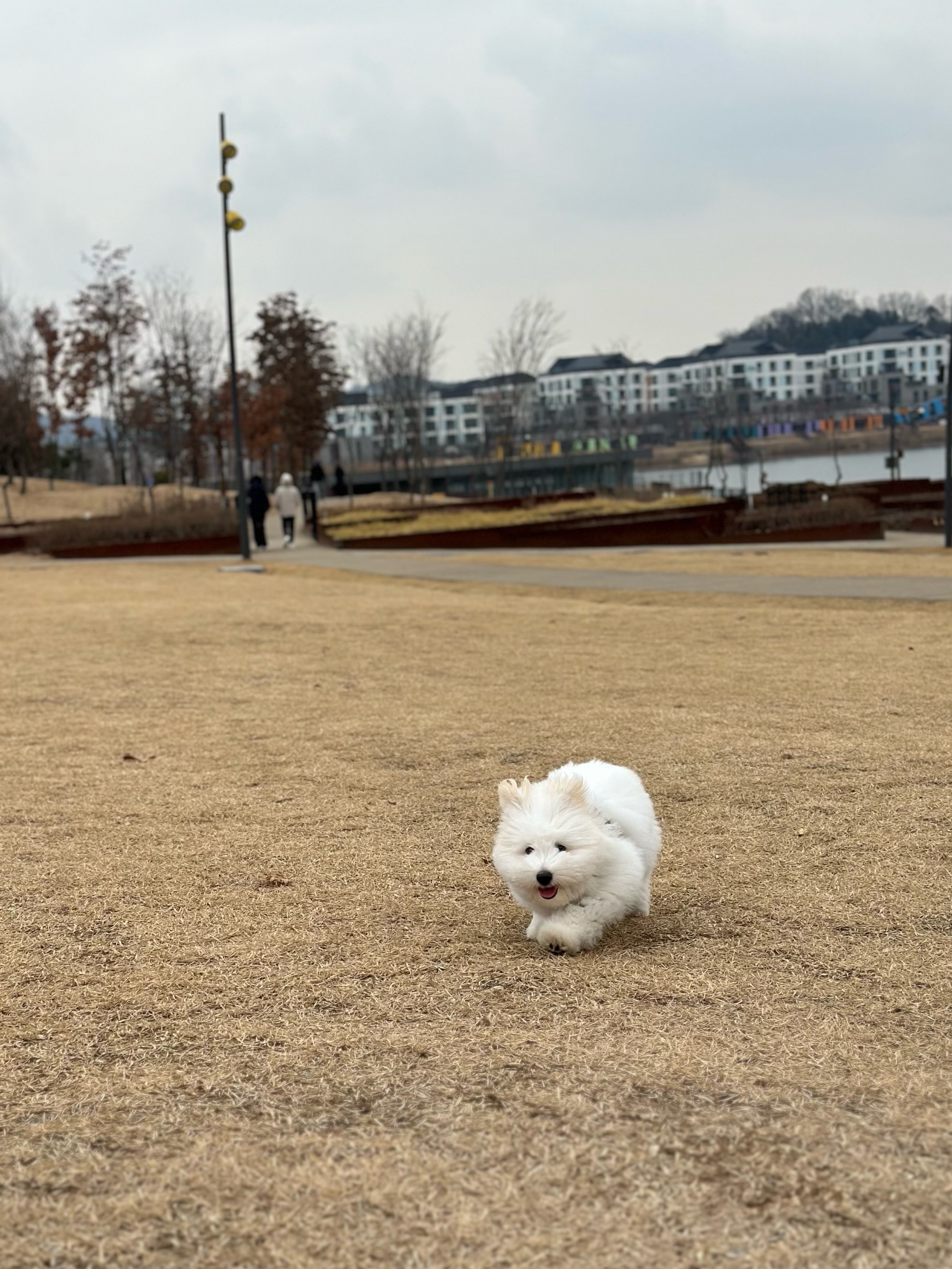 🫶🏻님의 스타일 - 3