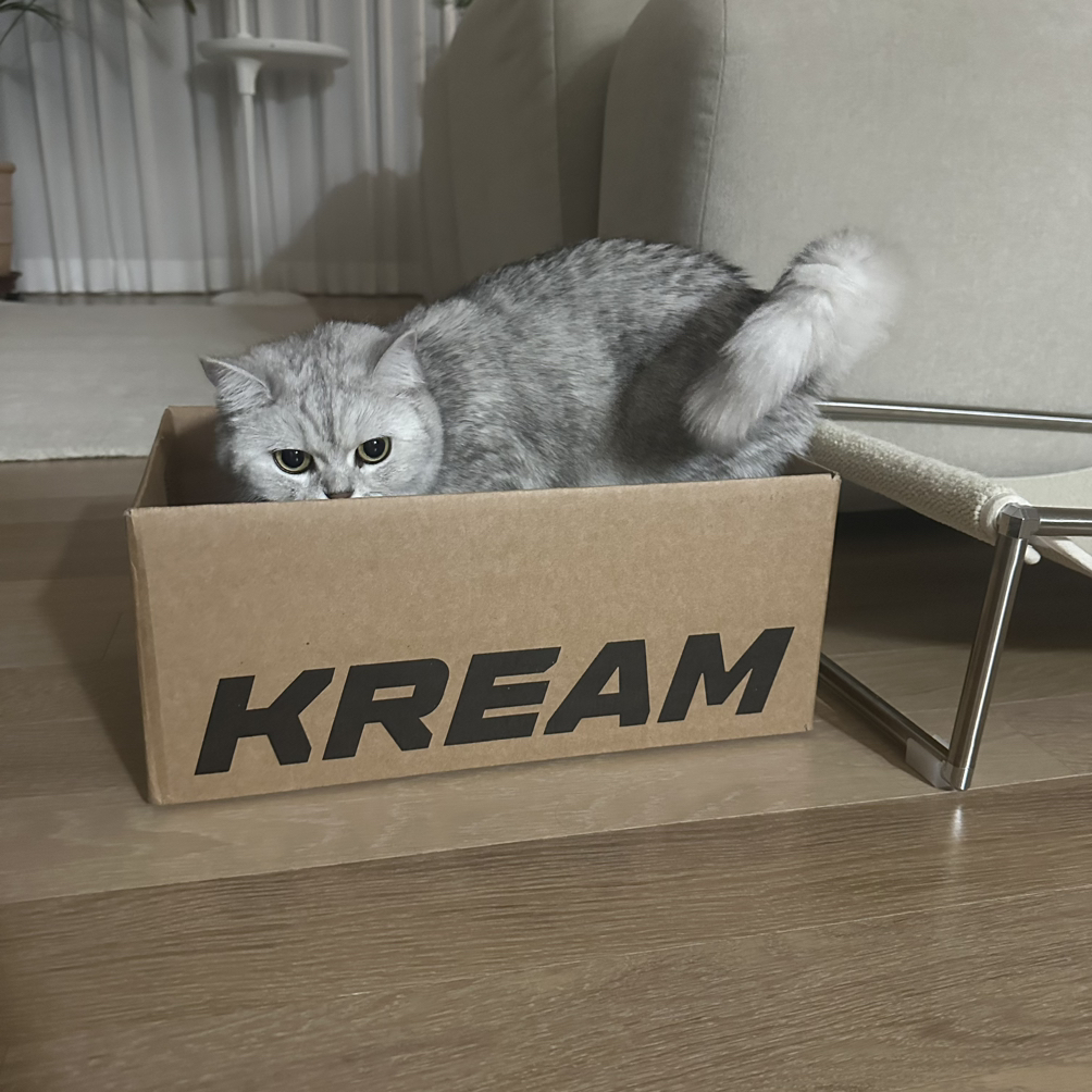 KREAM 프로필 이미지