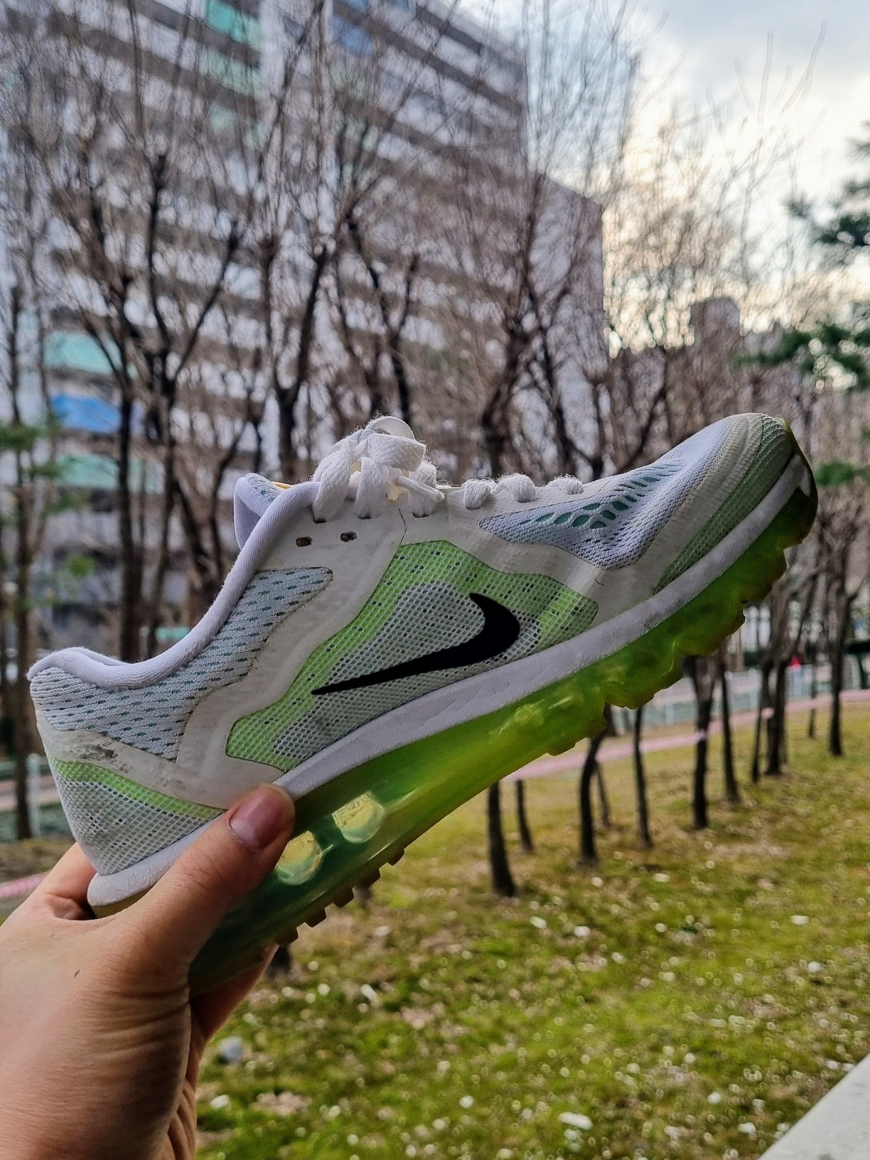 라떼 빠빠님의 스타일