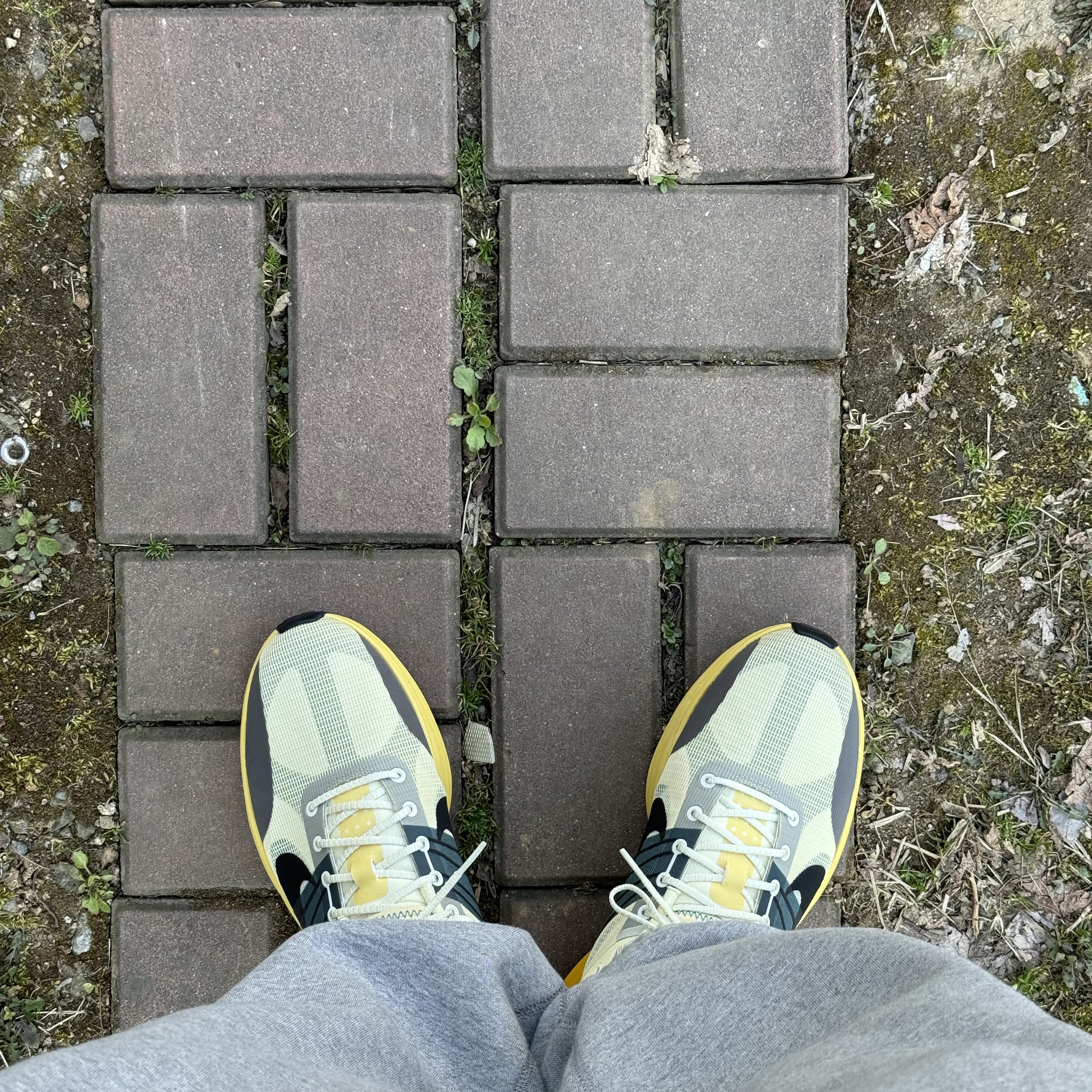 Nike Lunar Roam Alabaster and Green Abyss 착용 스타일