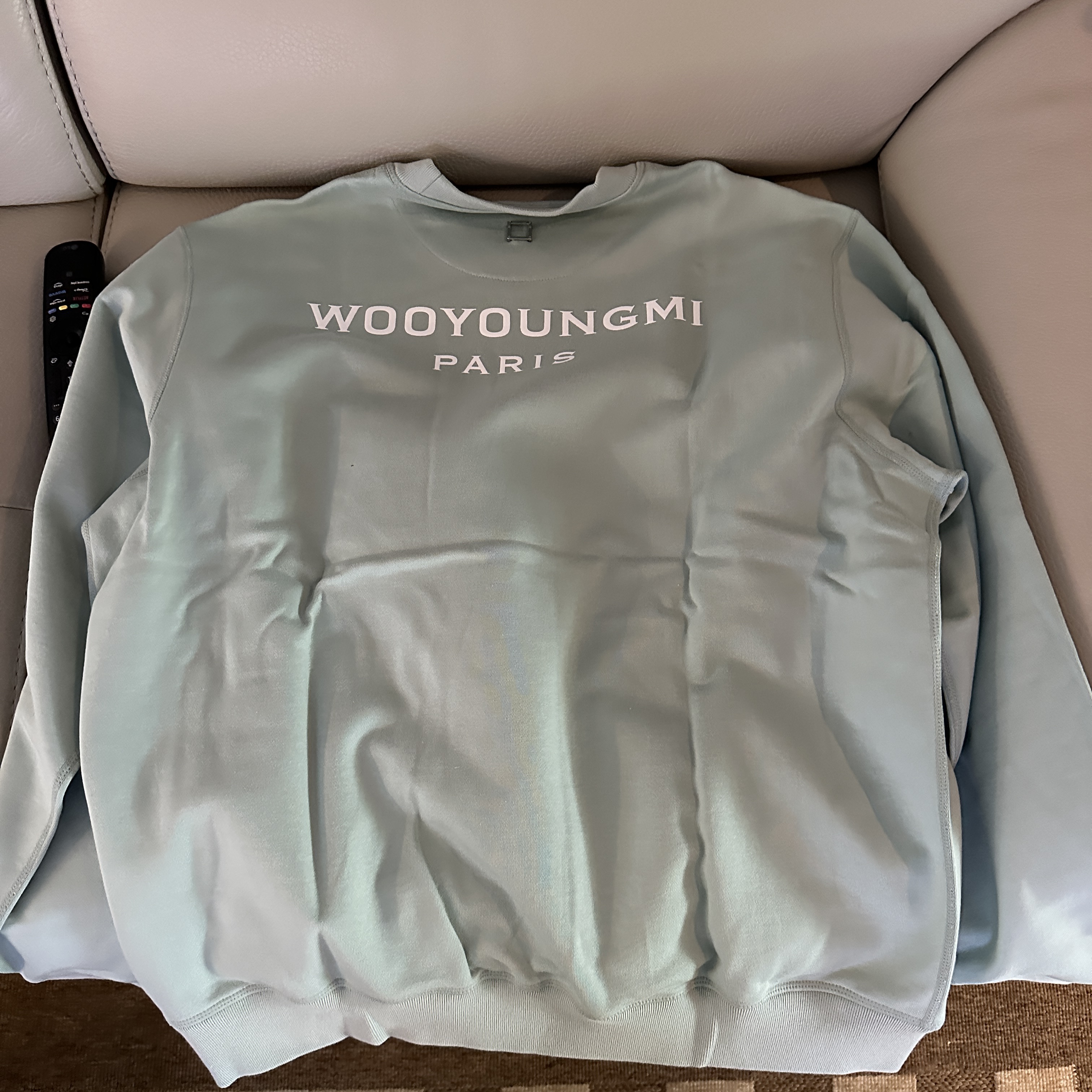 Wooyoungmi Half Zip-Up Sweatshirt Mint - 23FW 착용 스타일