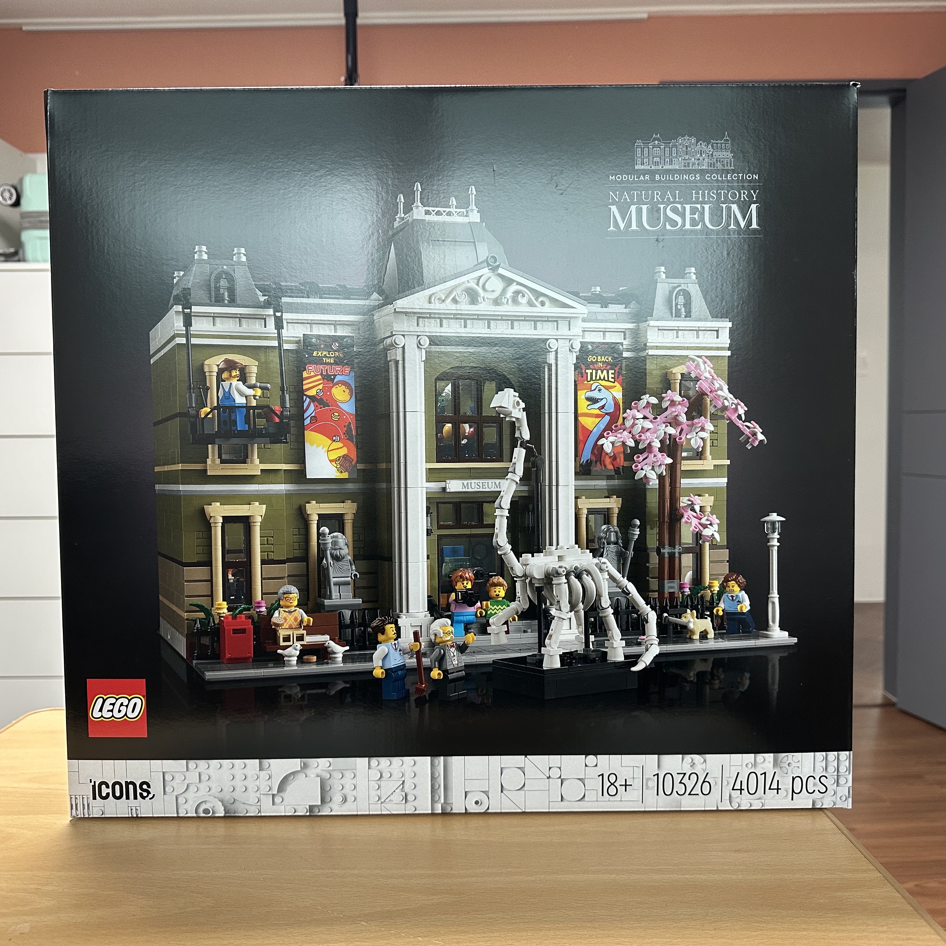 Lego Natural History Museum 착용 스타일