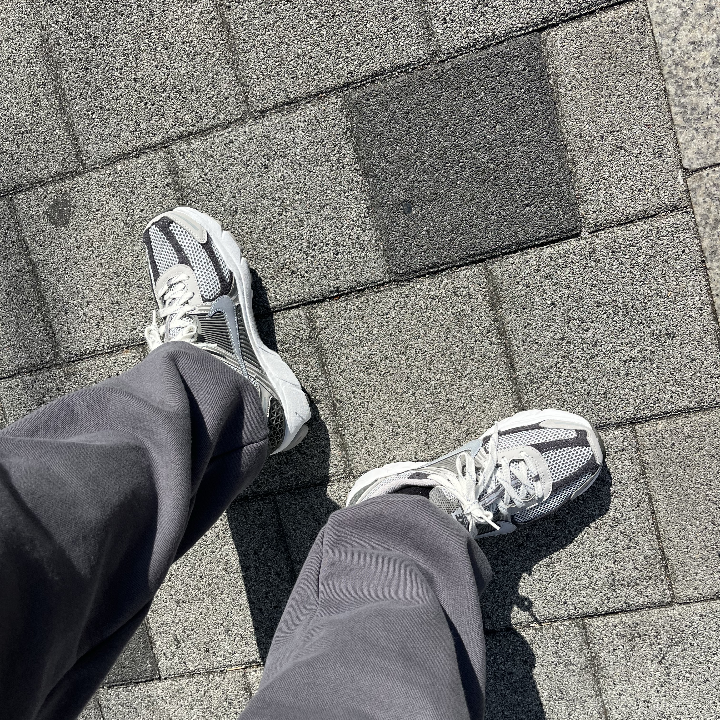 Nike Zoom Vomero 5 PRM Light Iron Ore and Flat Fewter 착용 스타일