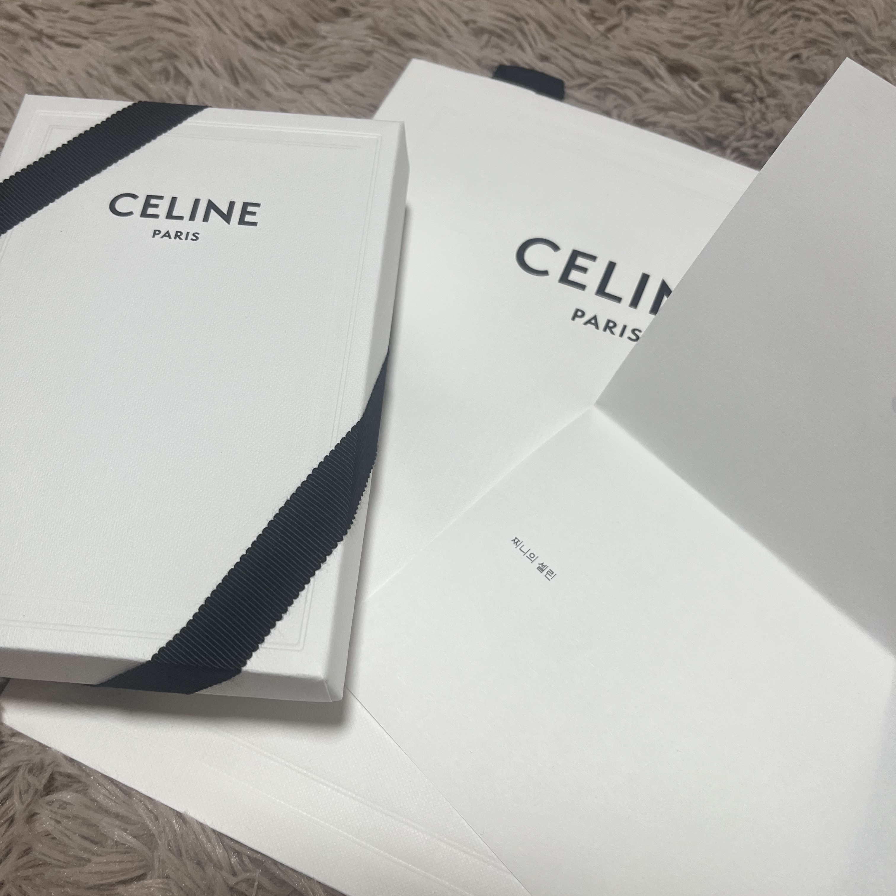 Celine Card Holder in Triomphe Canvas with Celine Print Tan 착용 스타일 - 2