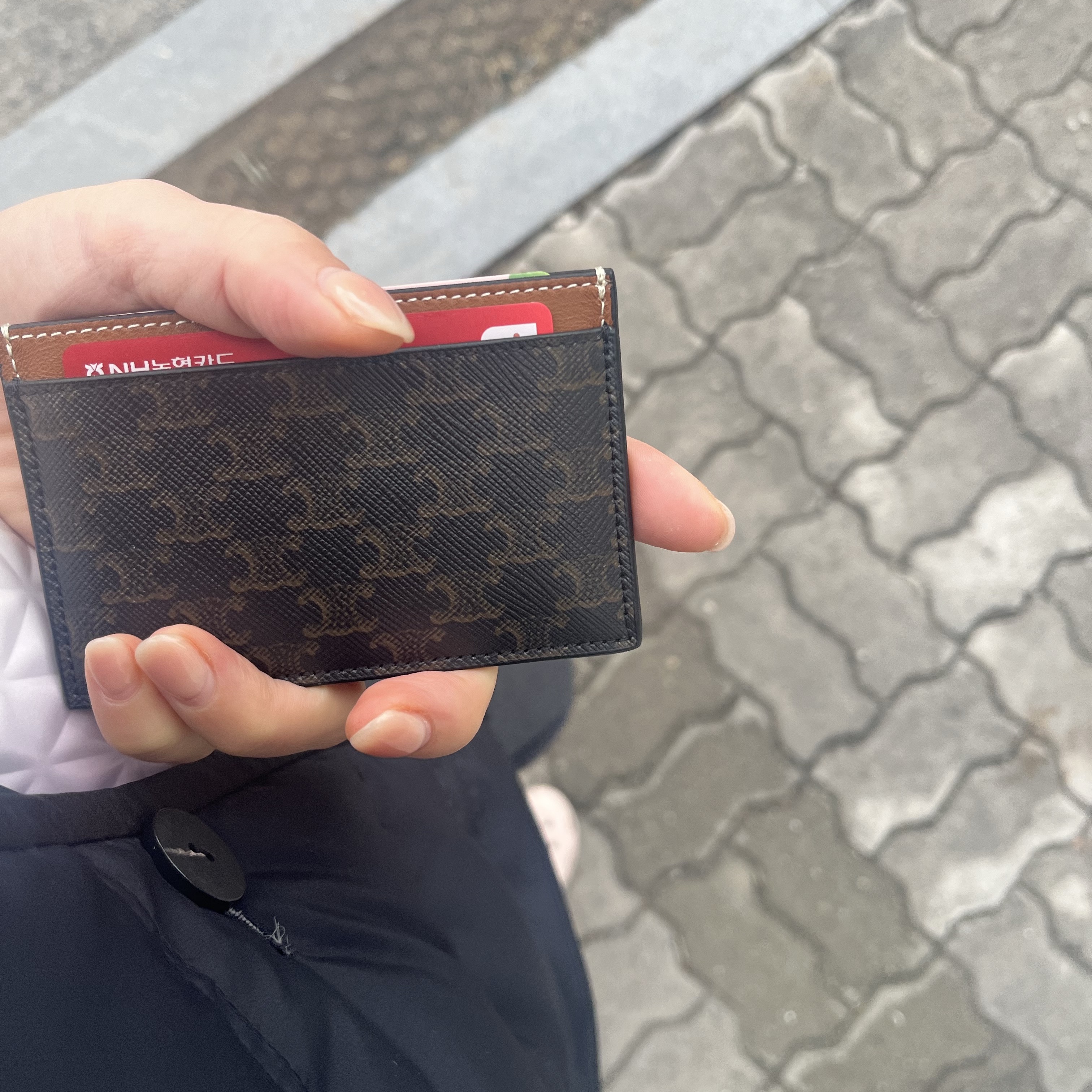 Celine Card Holder in Triomphe Canvas with Celine Print Tan 착용 스타일 - 1