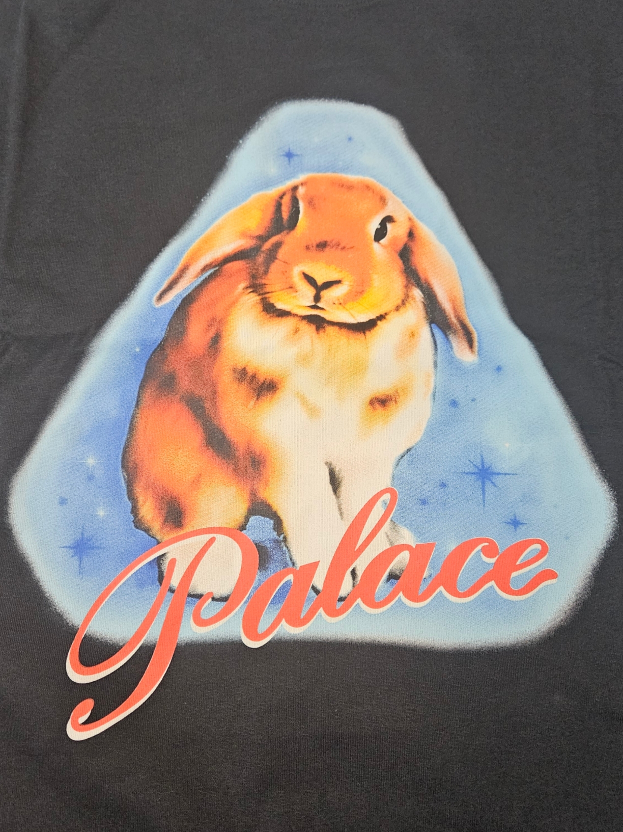 Palace Bunny T-Shirt Black - 24SS 착용 스타일 - 1