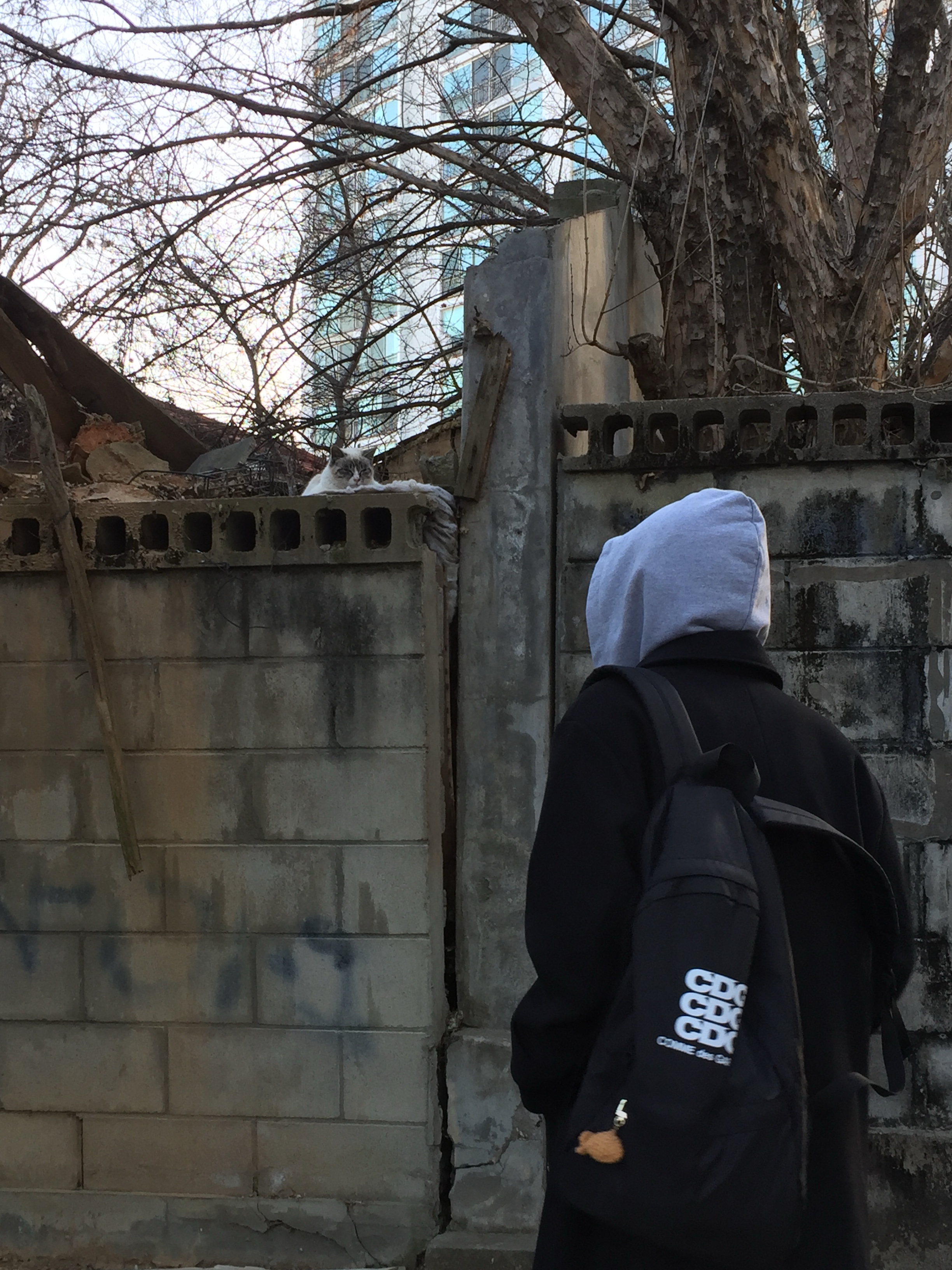 CDG Backpack Black, Nike Air Force 1 '07 Low White 착용 스타일 - 1