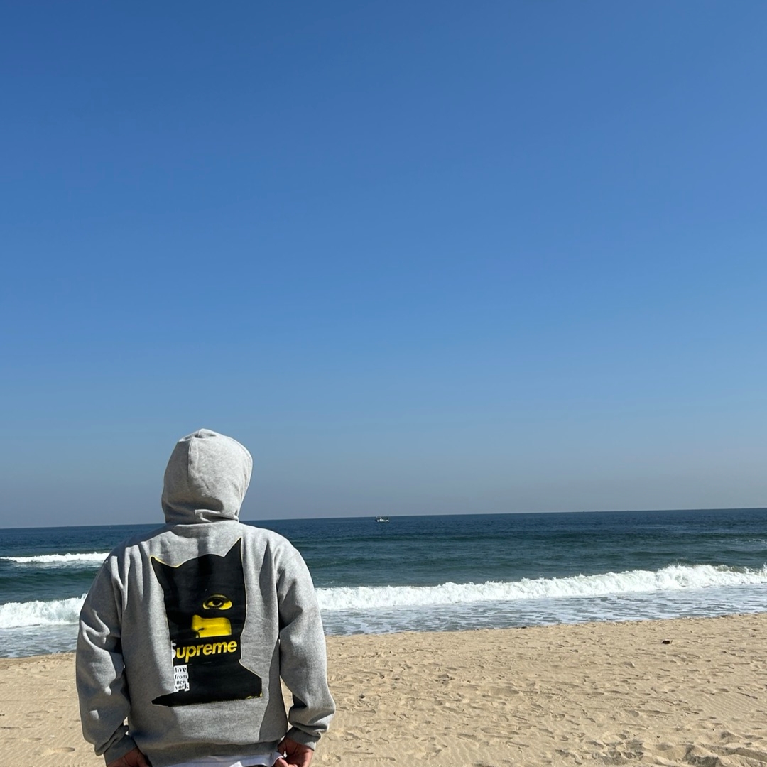 Supreme Catwoman Hooded Sweatshirt Heather Grey - 23FW 착용 스타일 - 1