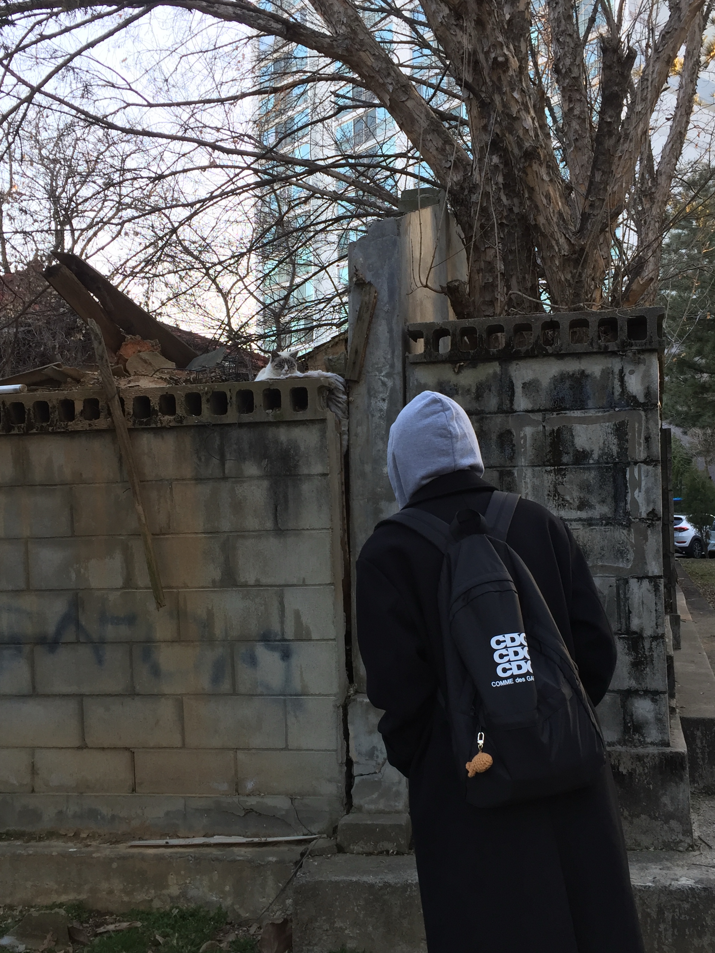 CDG Backpack Black, Nike Air Force 1 '07 Low White 착용 스타일 - 2