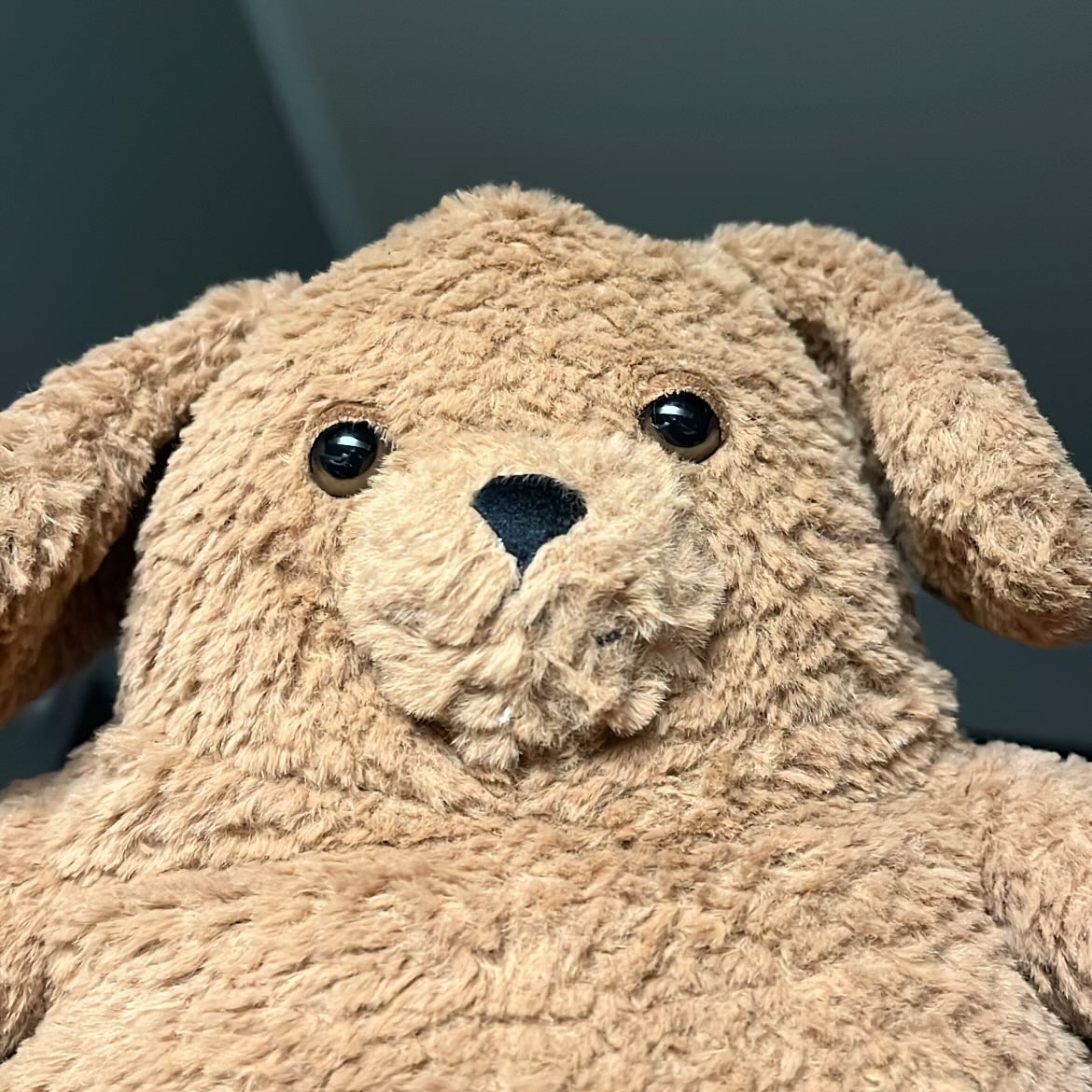 Jellycat Amore Dog Brown 착용 스타일