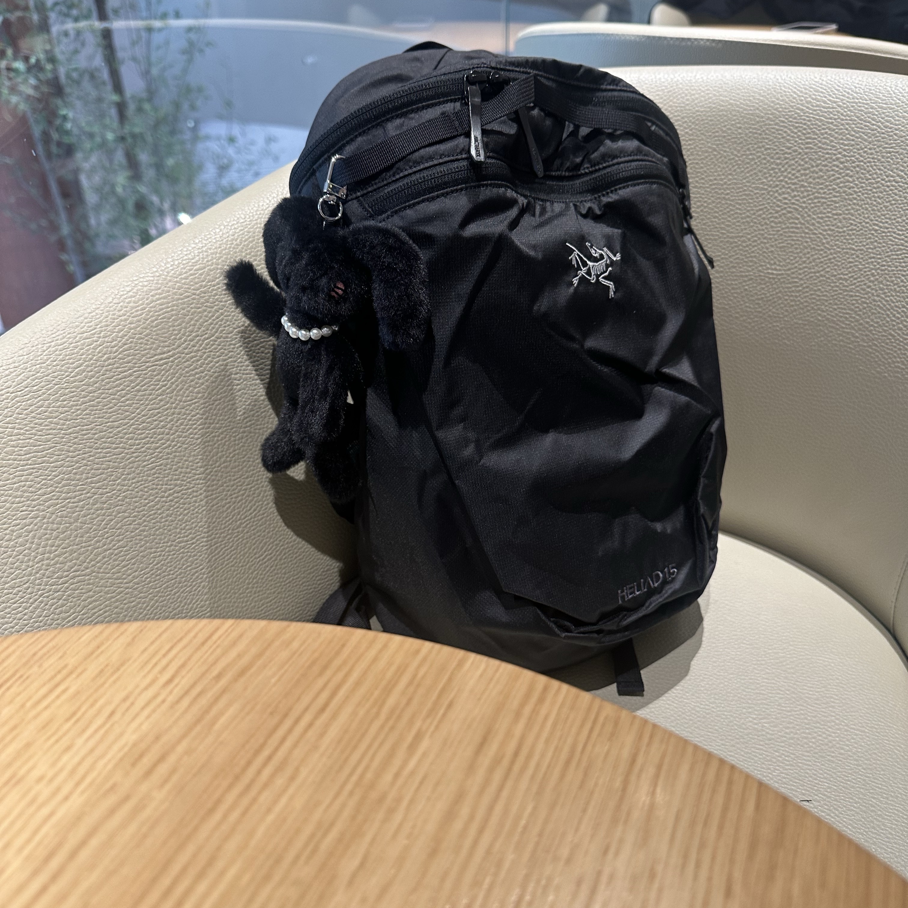 Arc'teryx Heliad 15 Backpack Black 착용 스타일