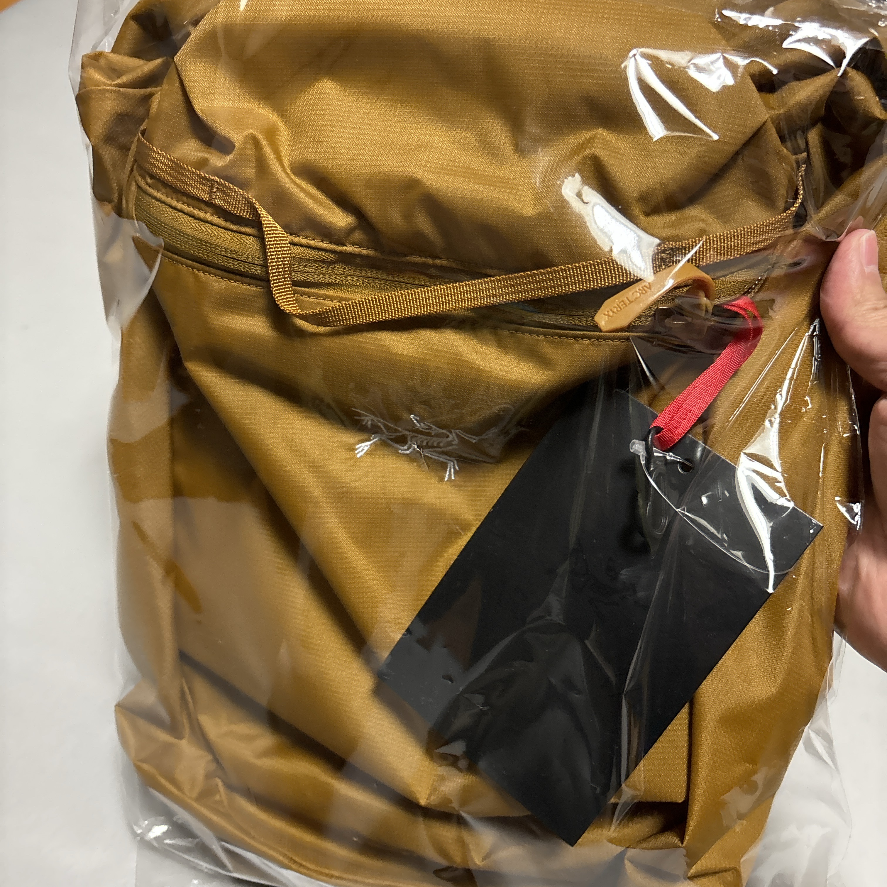 Arc'teryx Heliad 10 Backpack Yukon 착용 스타일 - 4