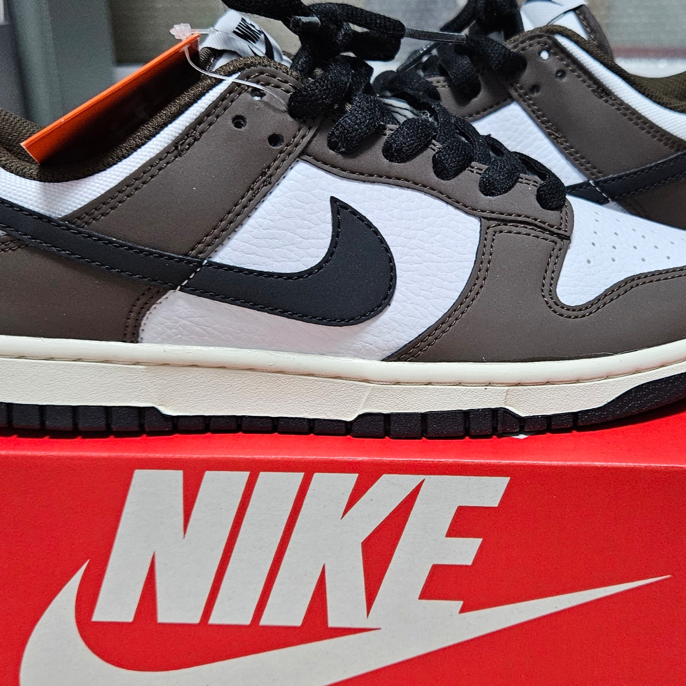 Nike Dunk Low Retro Next Nature Baroque Brown White 착용 스타일 - 1
