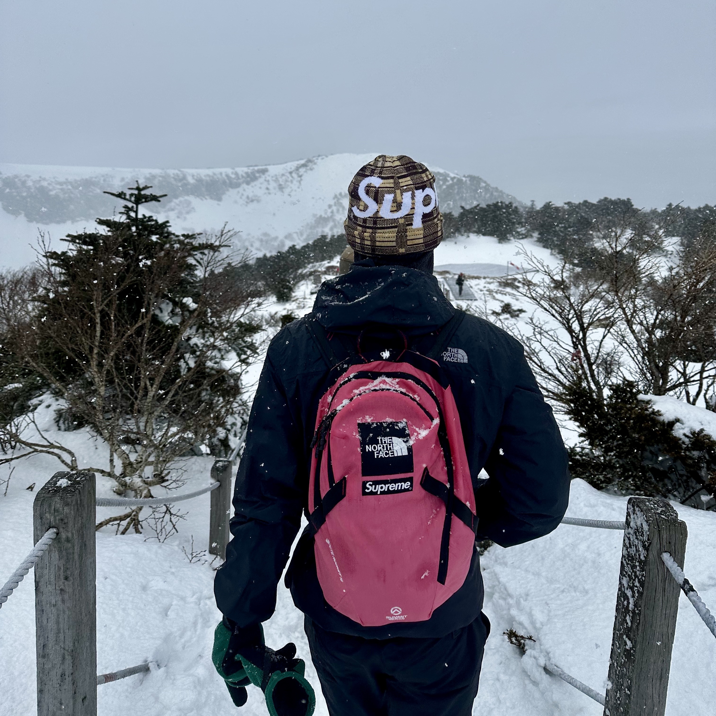 Supreme x The North Face Summit Series Outer Tape Seam Route Rocket Backpack Pink - 21SS, Supreme Big Logo Beanie Tan Plaid - 23FW 착용 스타일