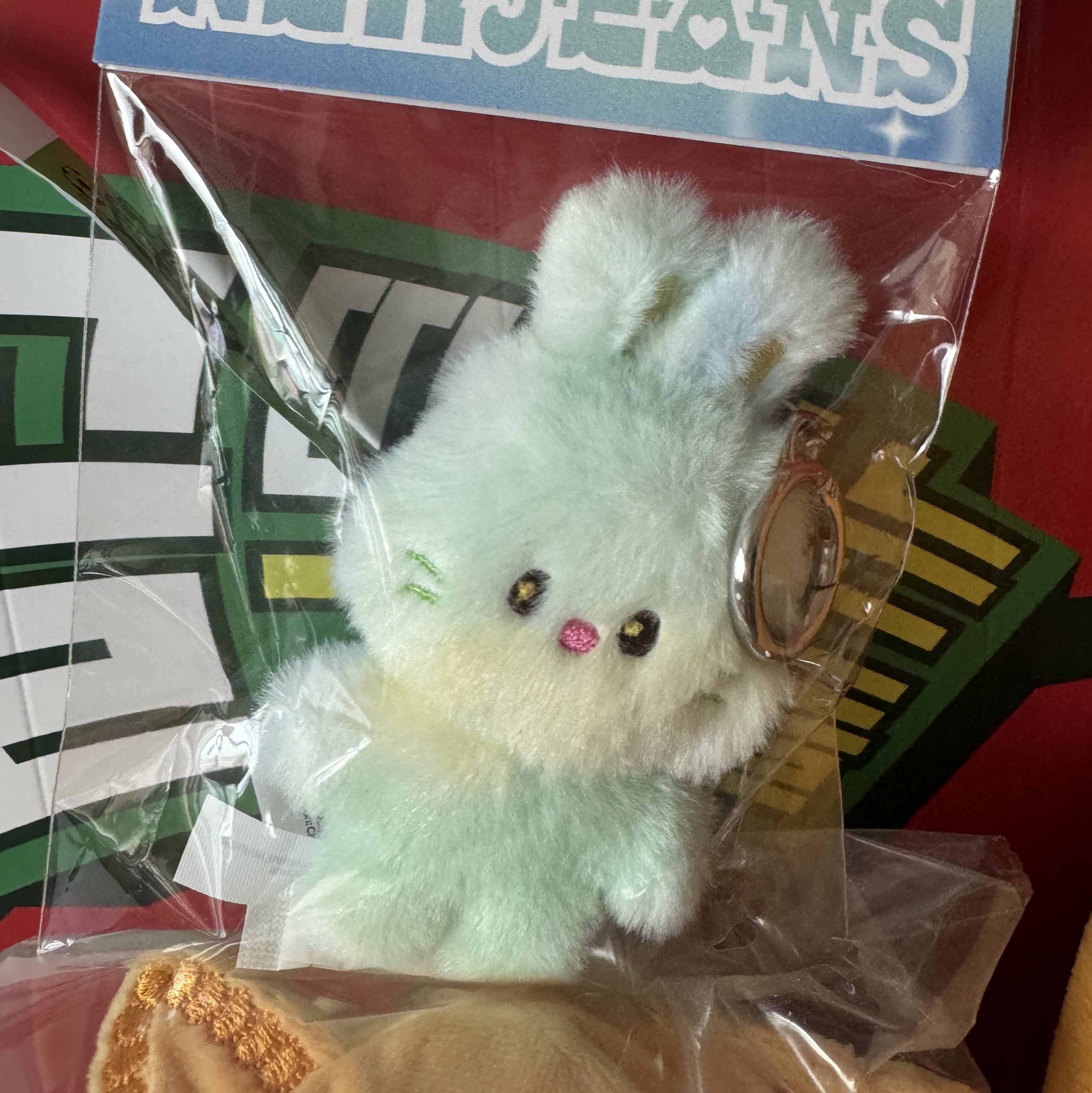 NewJeans Bunini Doll Keyring Blue Multi 착용 스타일