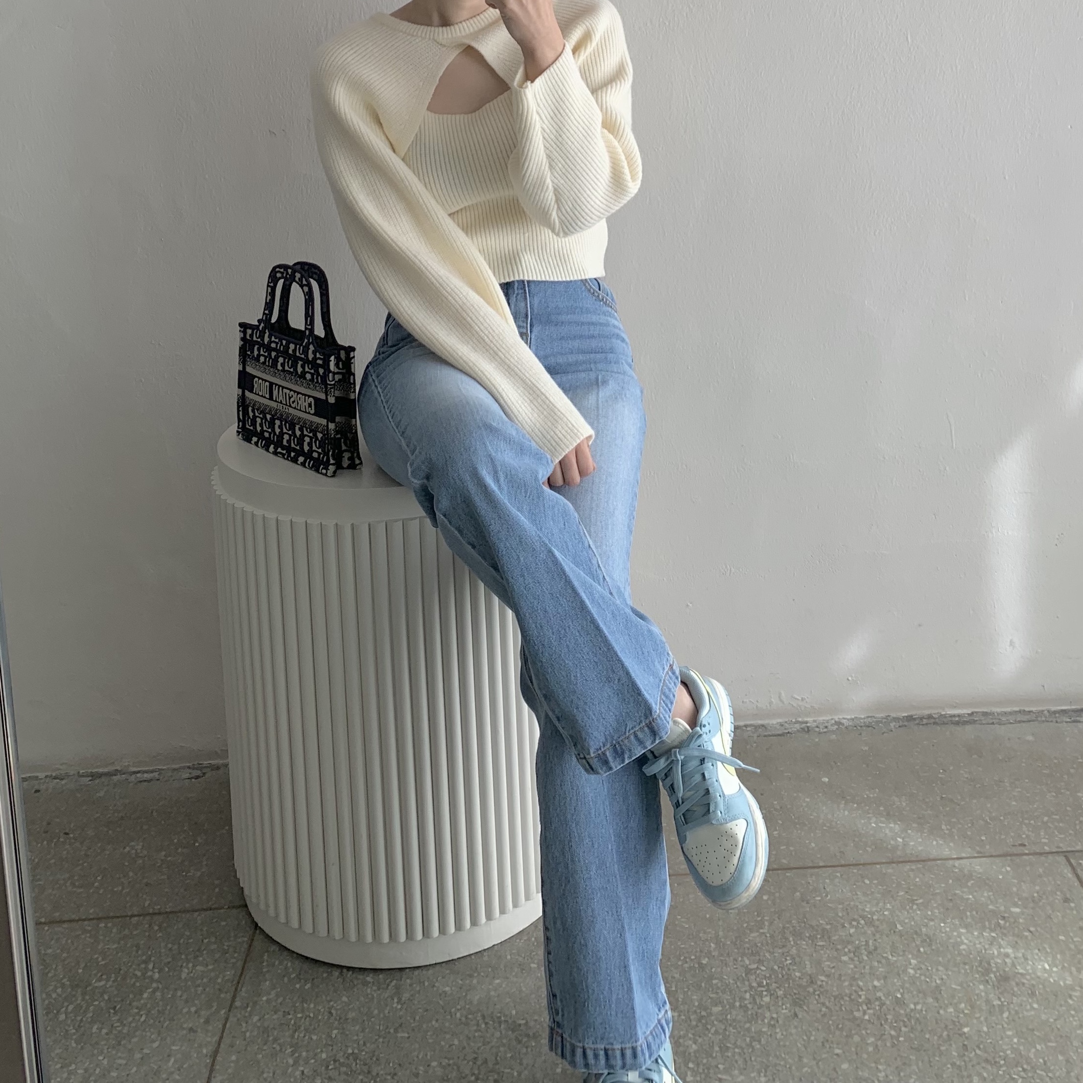 Dior Mini Book Tote Blue Dior Oblique Embroidery, (W) Nike Dunk Low Sail Citron Tint 착용 스타일
