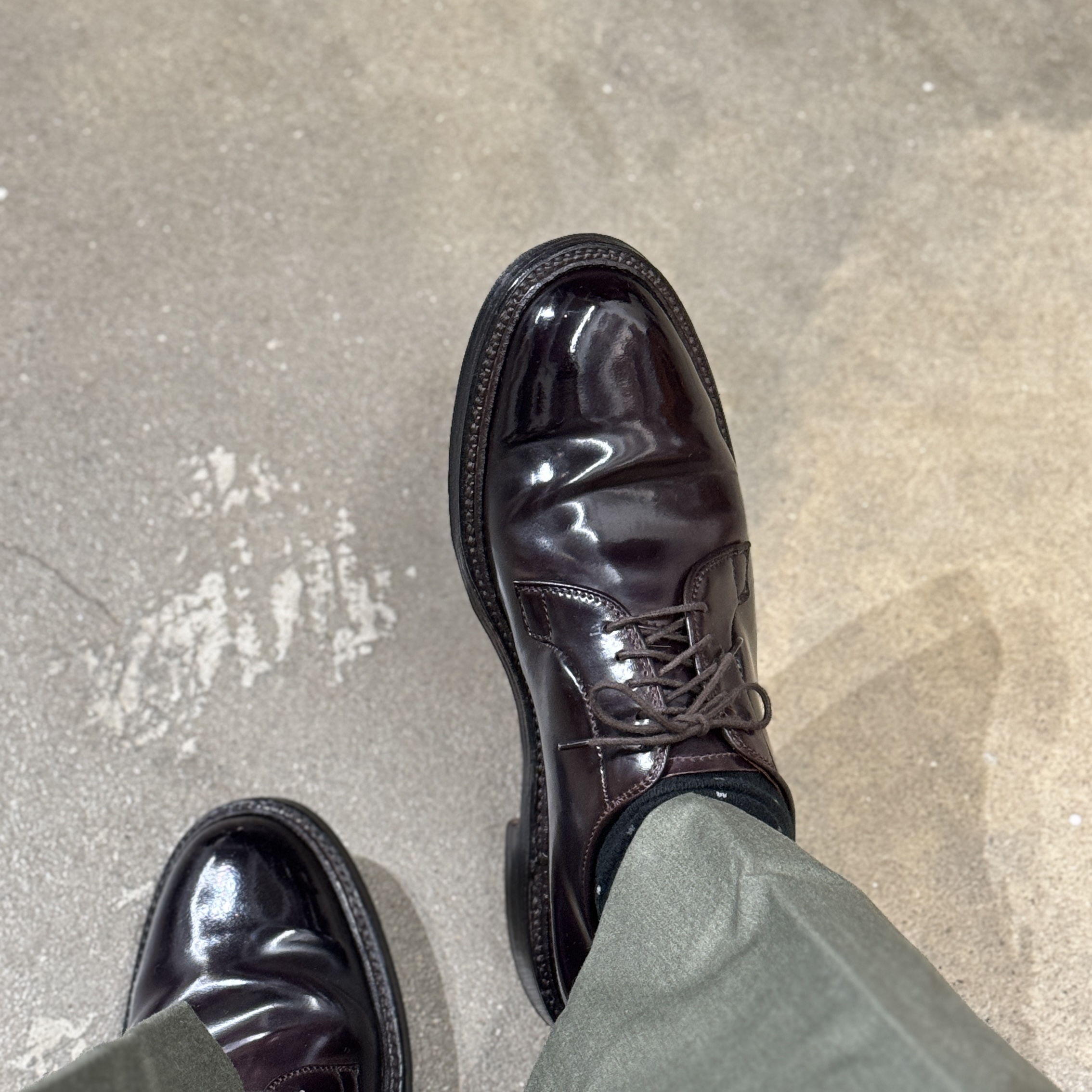Alden 990 Cordovan Plain Toe Blucher Oxford Burgundy - D 착용 스타일