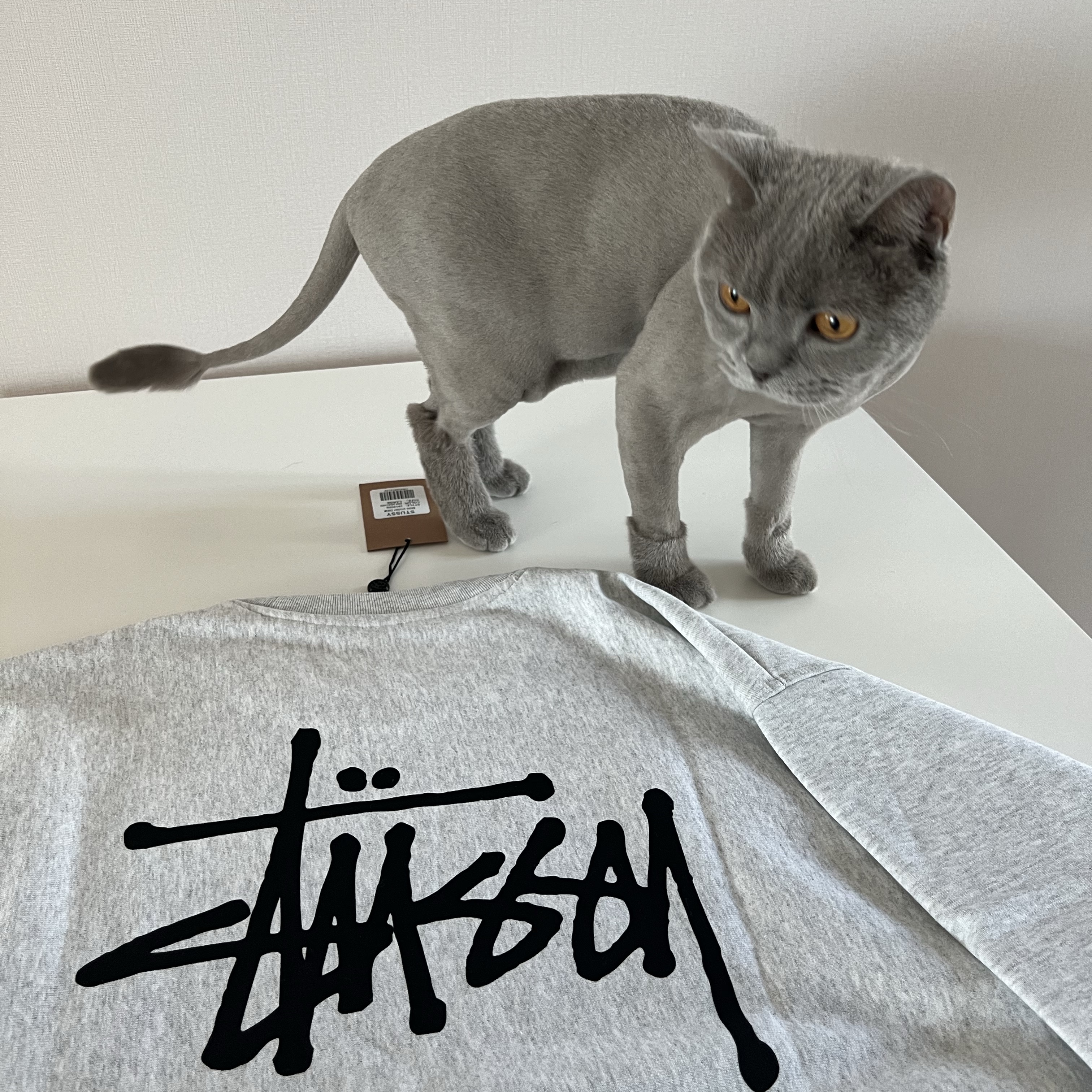Stussy Basic Stussy Crew Ash Heather, IAB Studio x Netflix Pajama Cushion Cover Set Black 착용 스타일 - 3