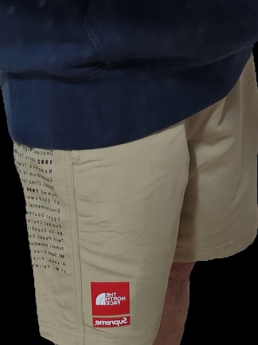 Supreme x The North Face Nylon Shorts Khaki - 24SS 착용 스타일 - 2