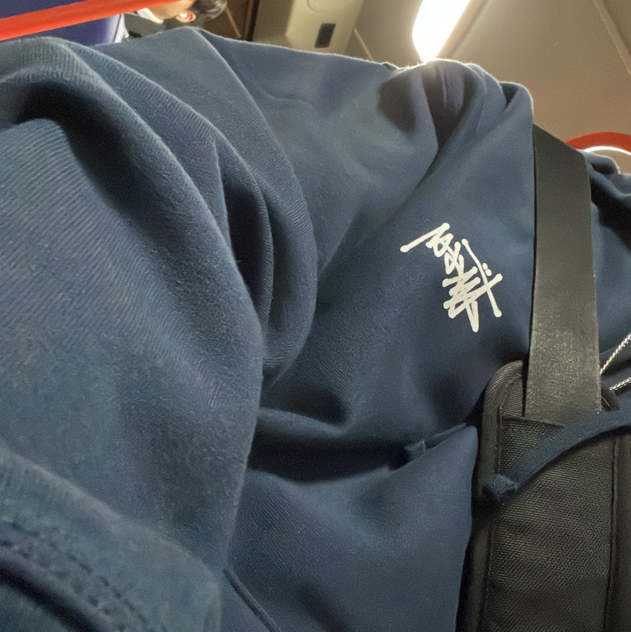 Stussy Basic Stussy Hoodie Navy 착용 스타일