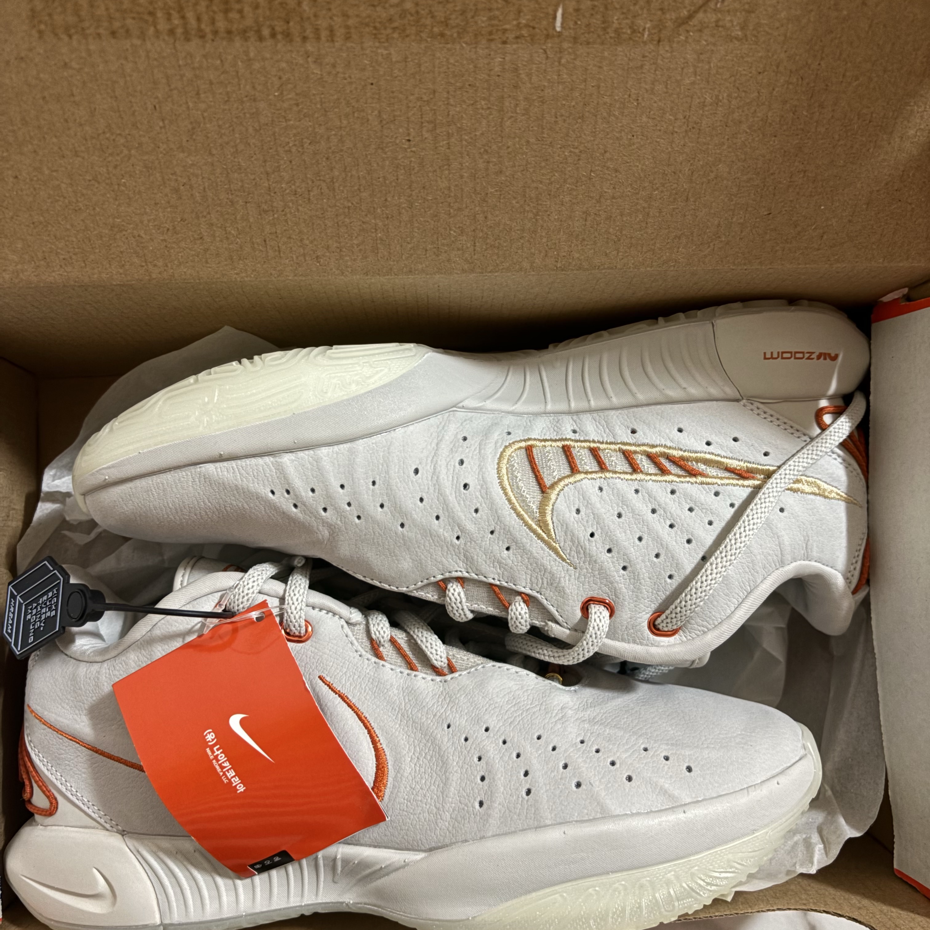 Nike Lebron 21 EP Akoya Light Bone 착용 스타일