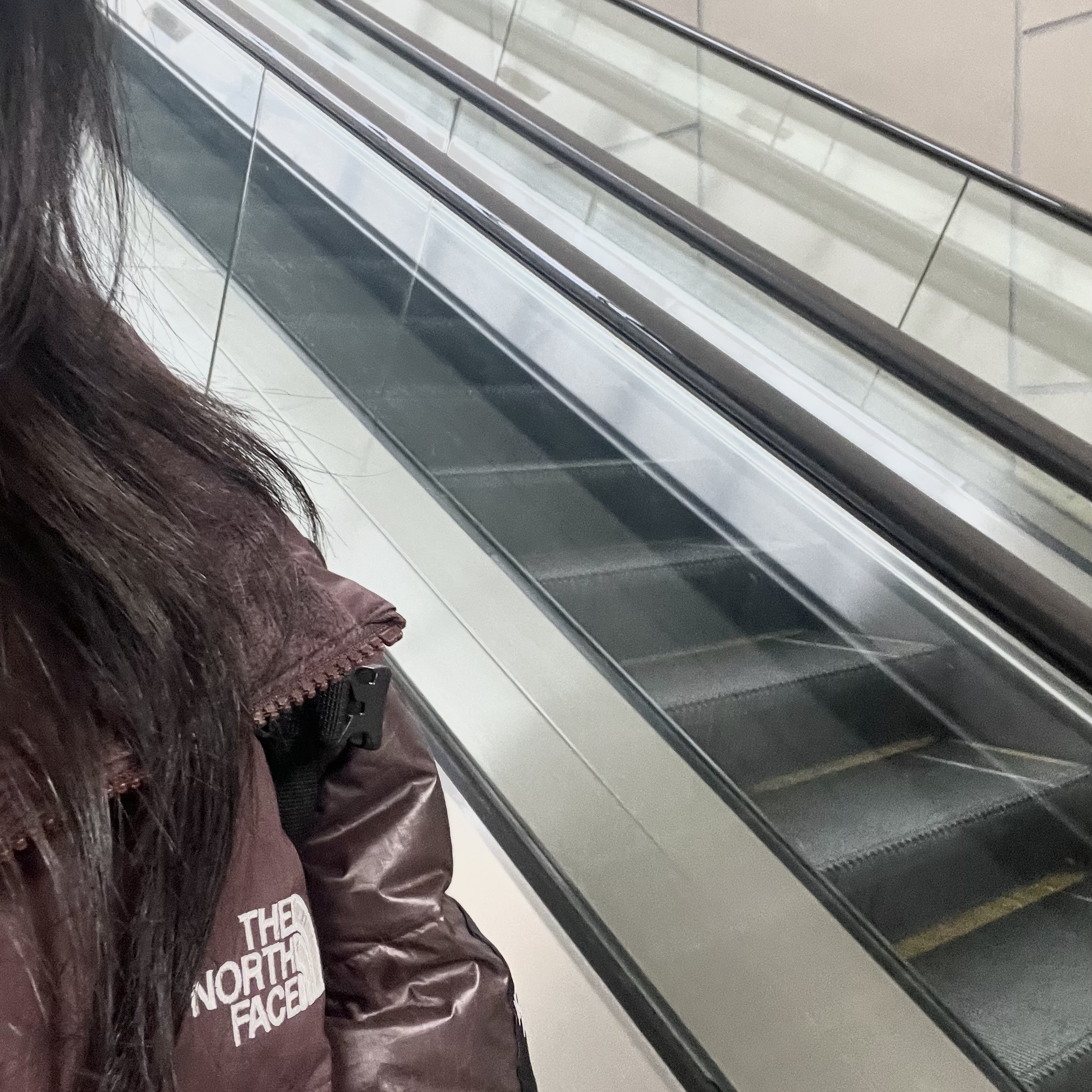 (W) The North Face White Label Novelty Nuptse Down Jacket Cocoa Brown 착용 스타일