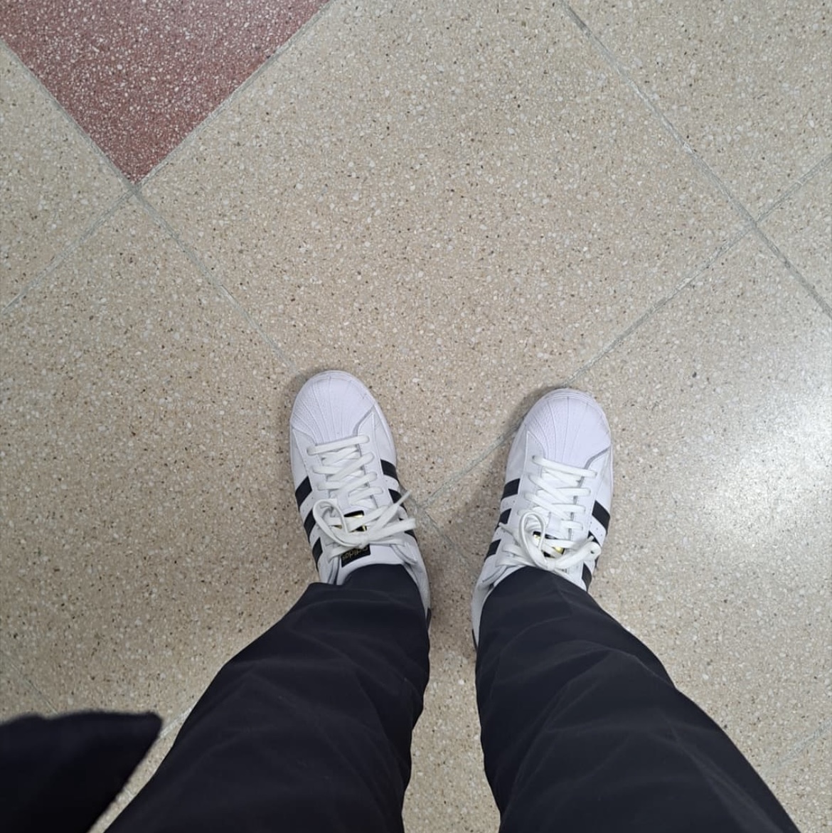 Adidas Superstar White Black 착용 스타일