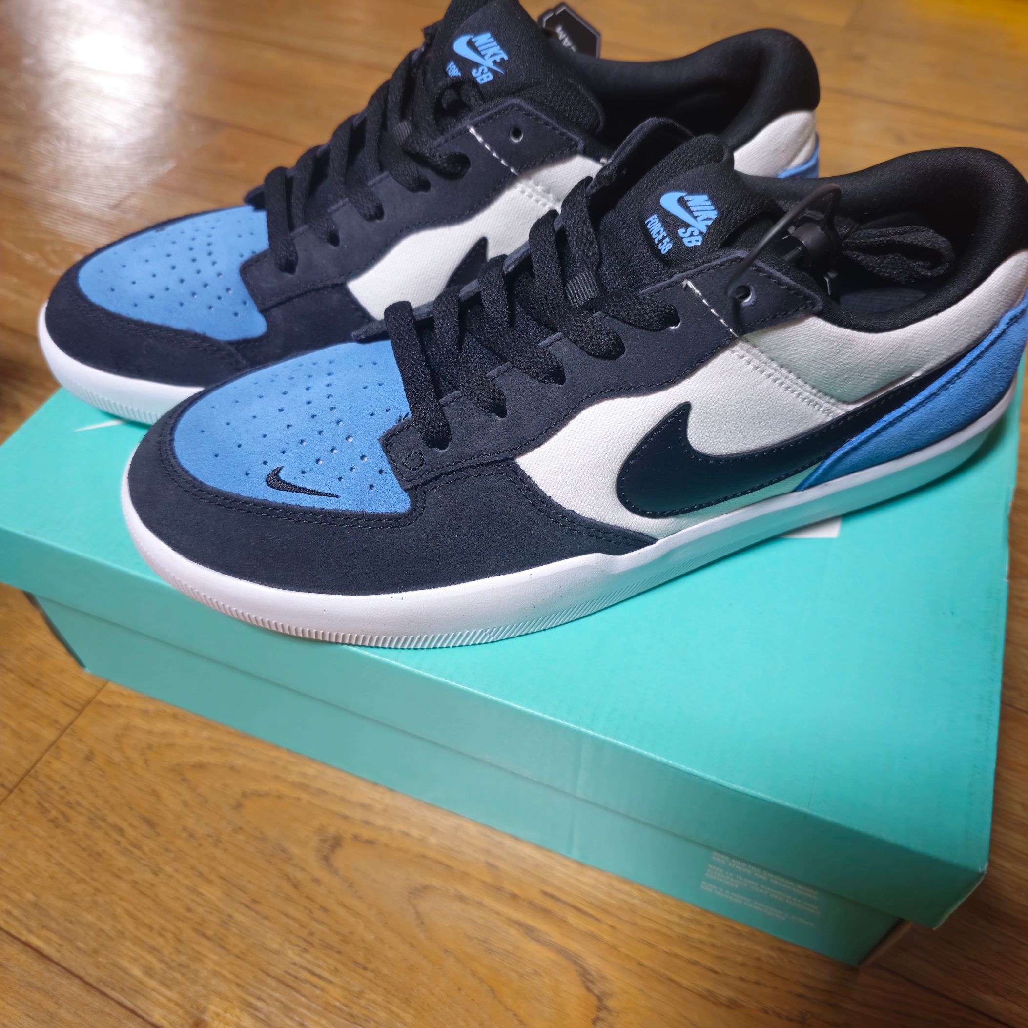 Nike SB Force 58 Dutch Blue White 착용 스타일