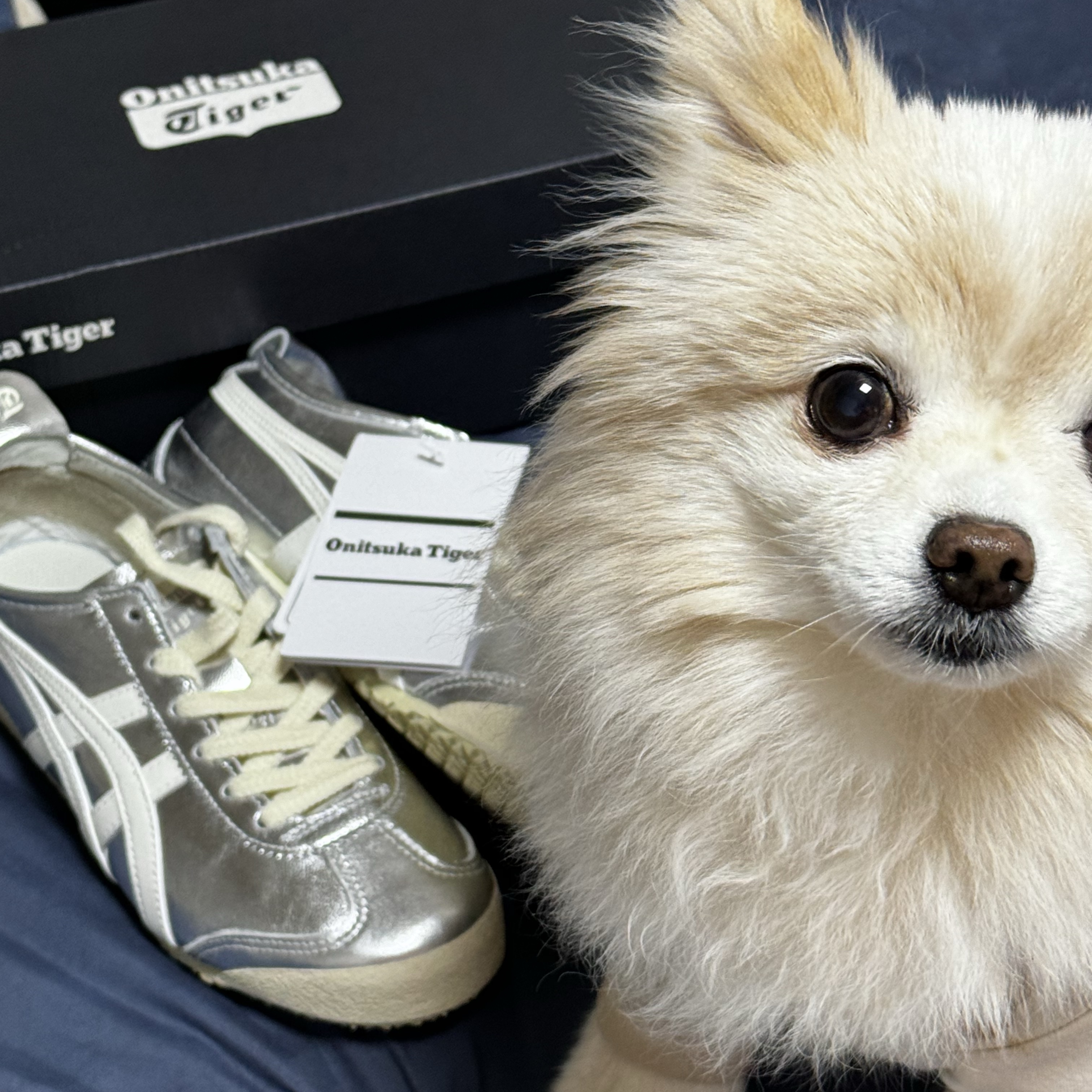 Onitsuka Tiger Mexico 66 Silver Off White 착용 스타일