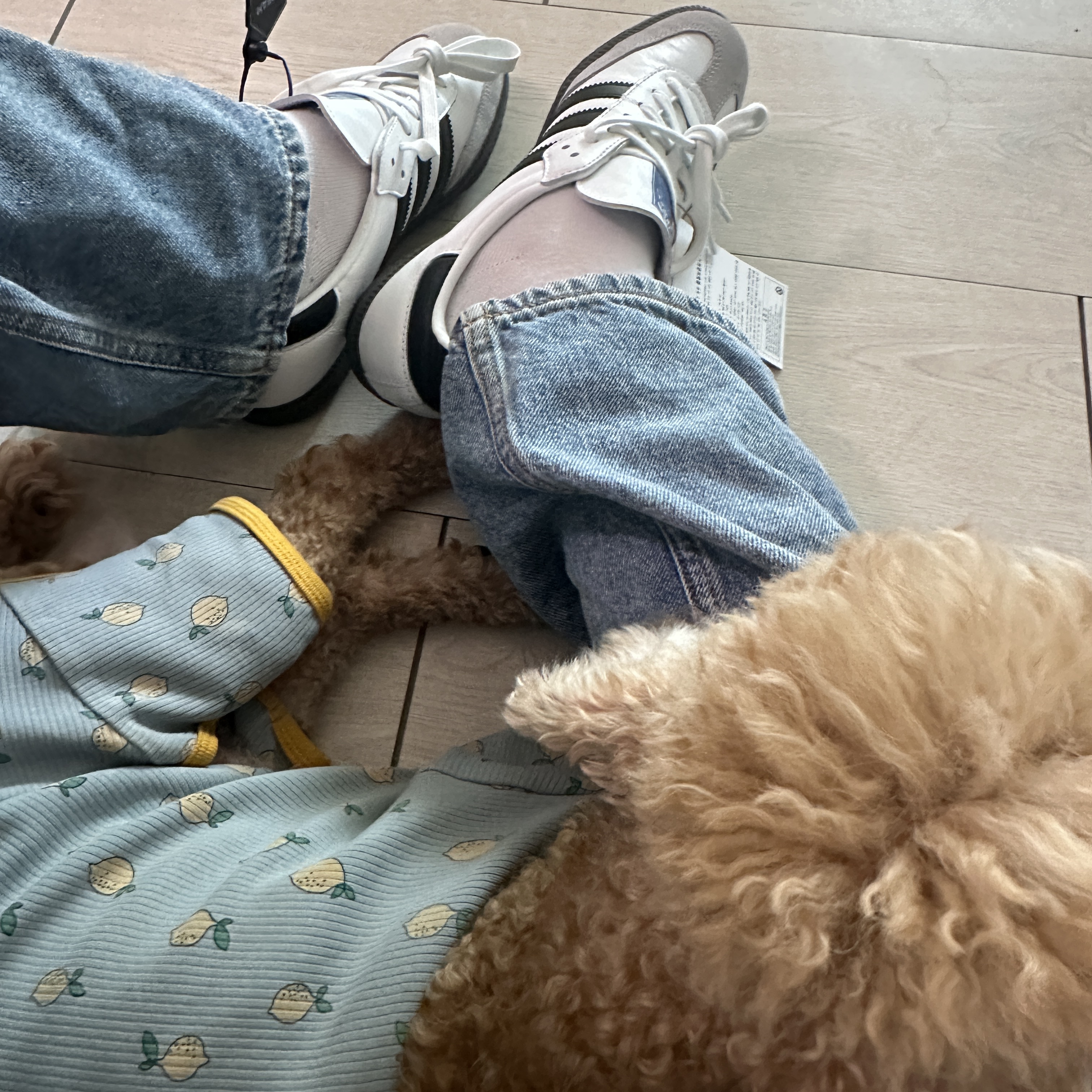 Adidas Samba OG Cloud White 착용 스타일