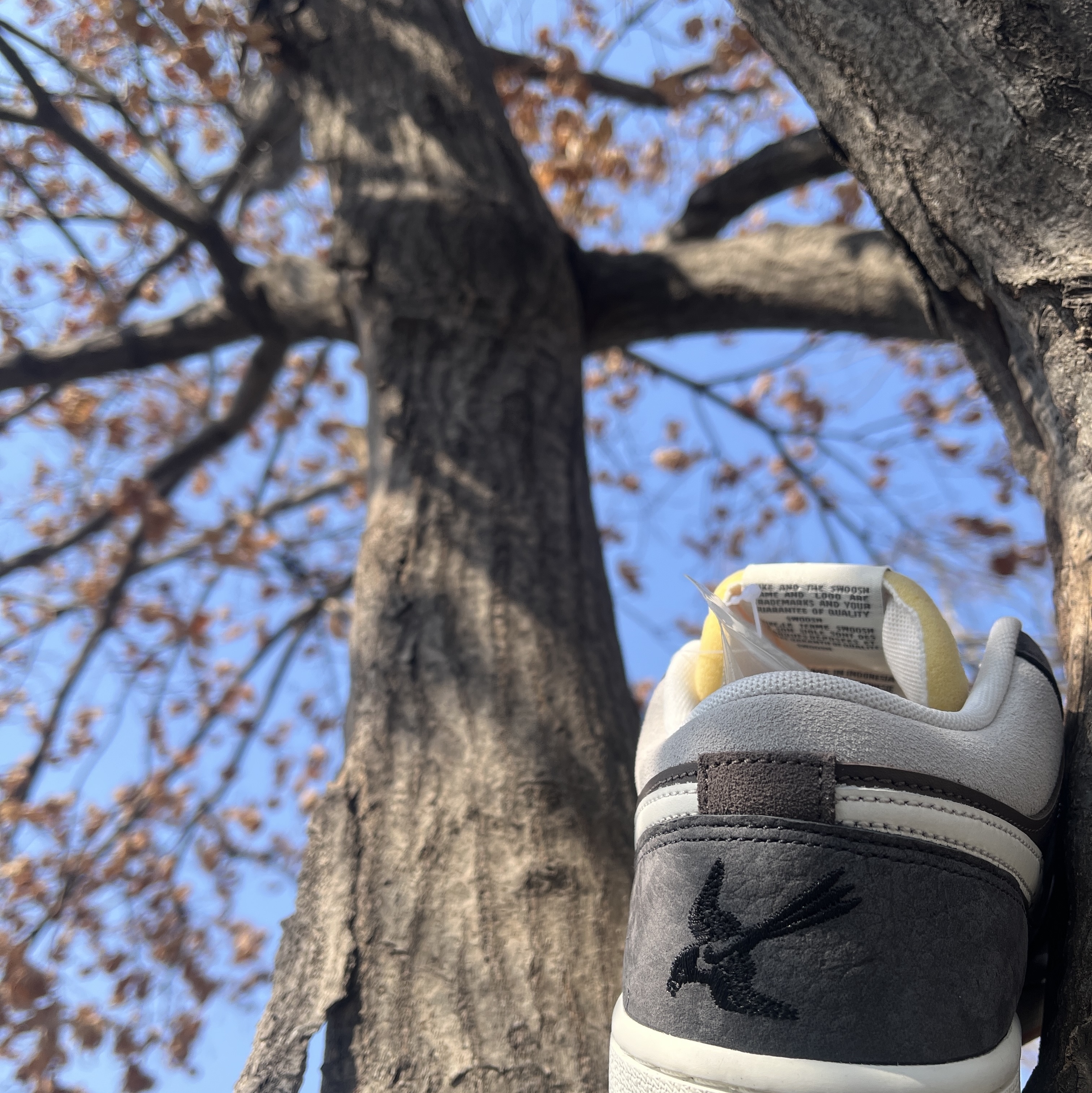 Jordan 1 Low Kkachi 착용 스타일 - 1